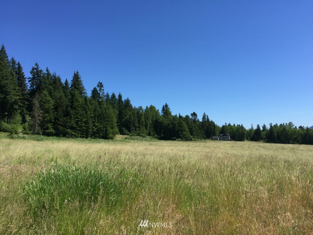 0 Lot 2 Knapp Rd Mount Mount Vernon, WA 98274 - Photo 9 of 10