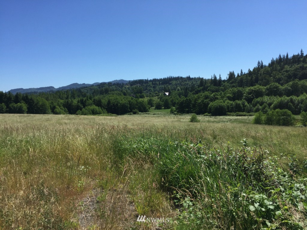 0 Lot 2 Knapp Rd Mount Mount Vernon, WA 98274 - Photo 10 of 10