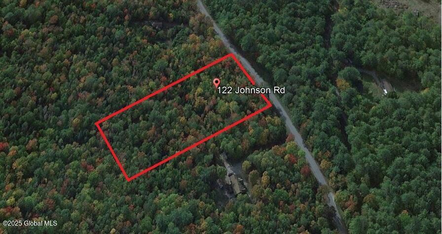 L122 Johnson Road Adirondack, NY 12808 - Photo 19 of 20 google lines