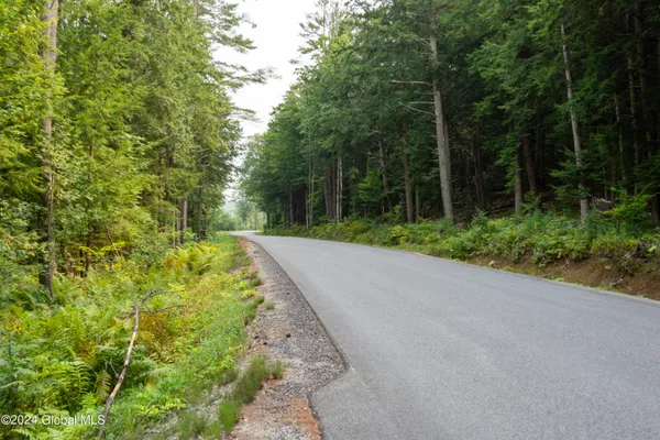 $79,999 | L122 Johnson Road, Adirondack, NY 12808