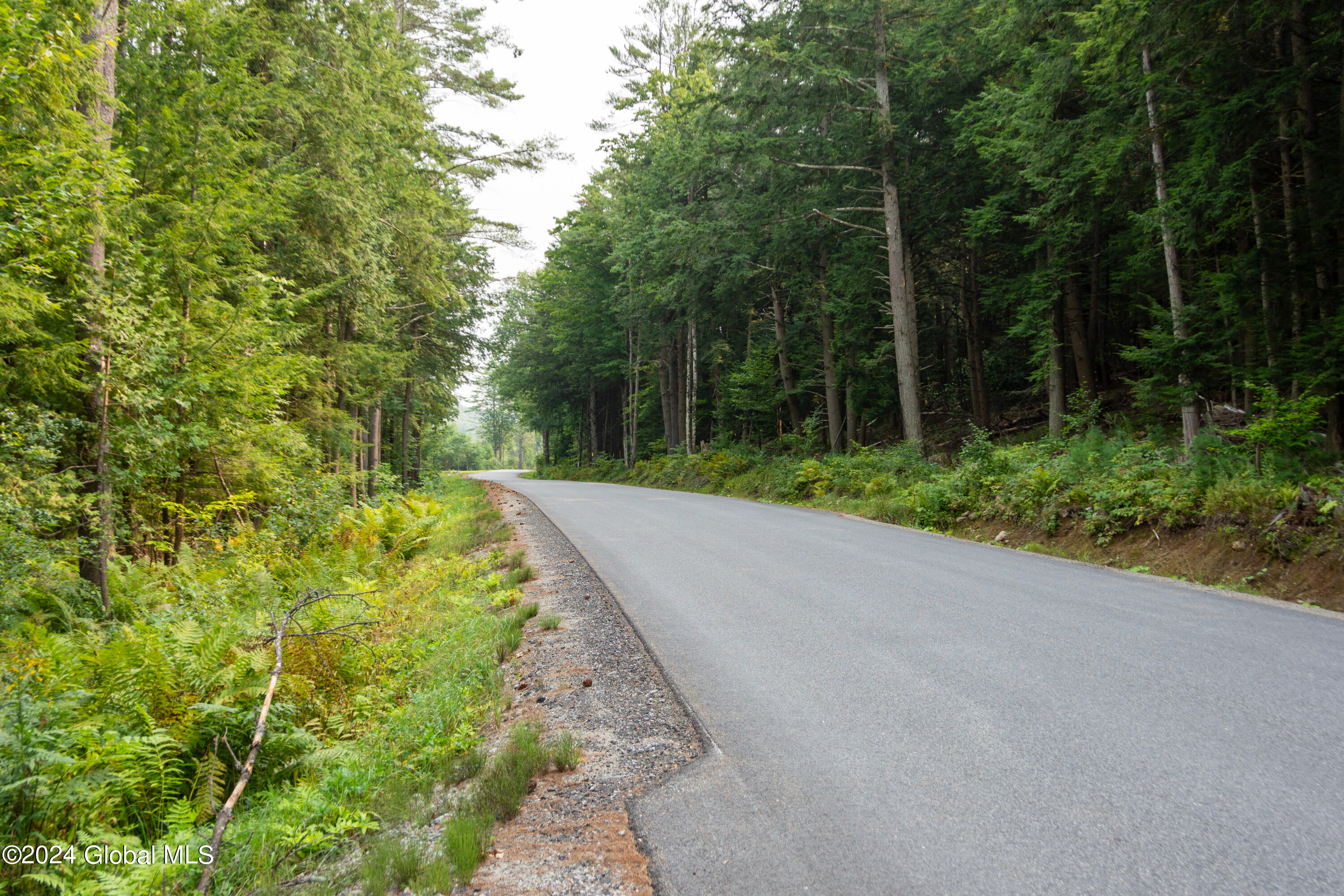 L122 Johnson Road Adirondack, NY 12808 - Photo 3 of 20 Pic 3