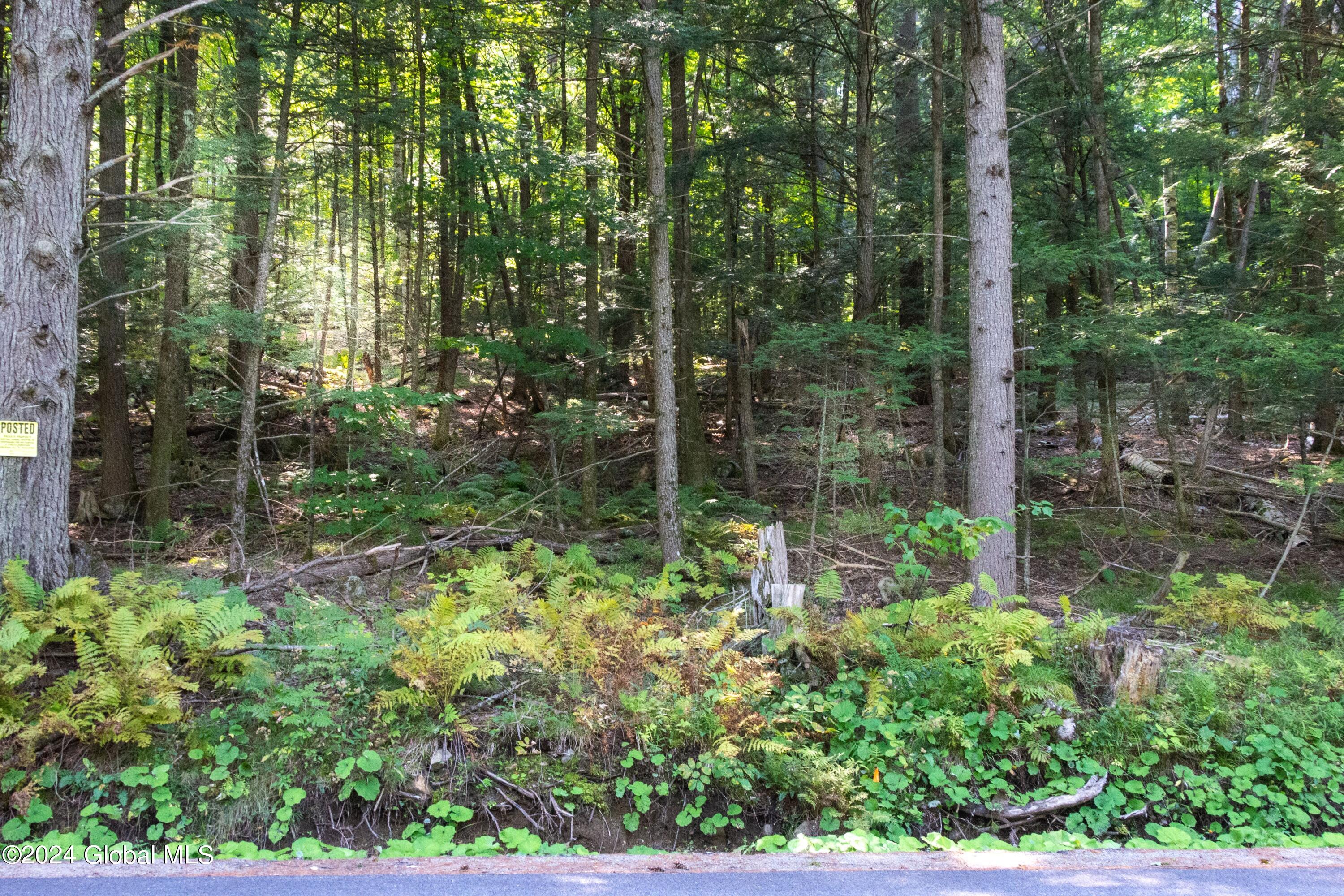 L122 Johnson Road Adirondack, NY 12808 - Photo 5 of 20 Pic 6