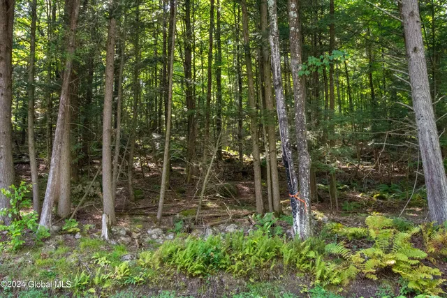 $79,999 | L122 Johnson Road, Adirondack, NY 12808