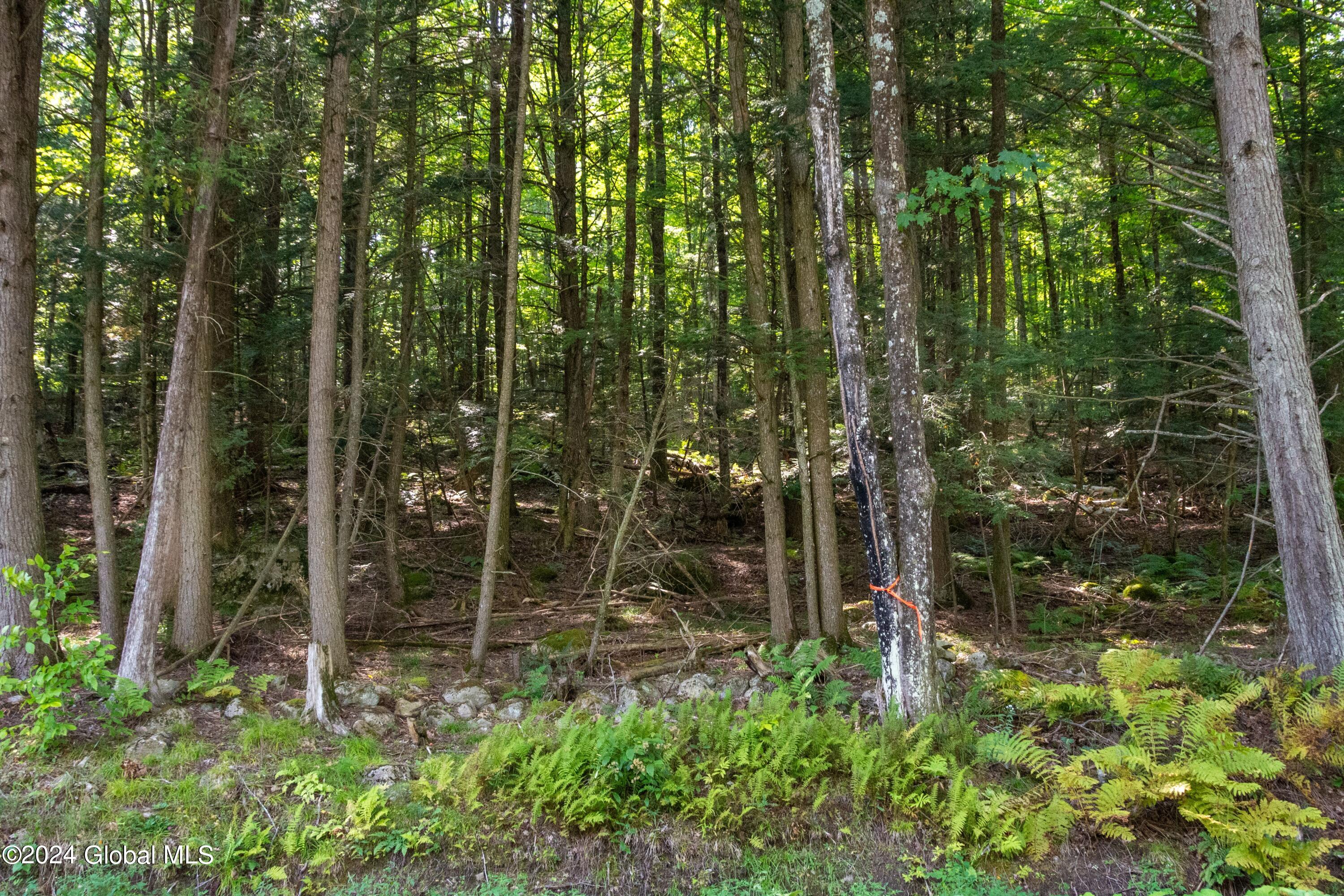 L122 Johnson Road Adirondack, NY 12808 - Photo 6 of 20 Pic 5