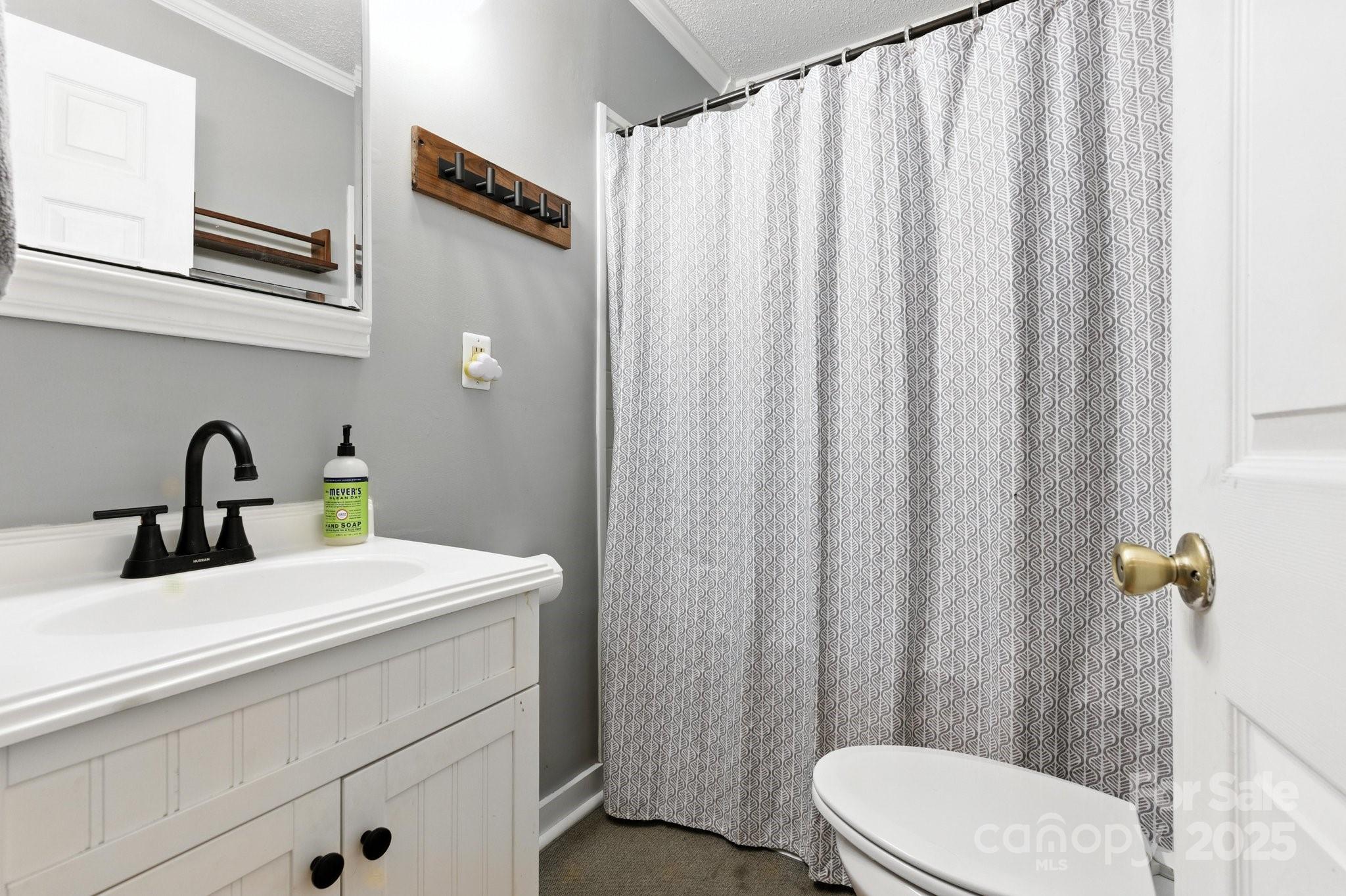 147 Mink Farm Road Leicester, NC 28748 - Photo 20 of 28 Gallery Image 20