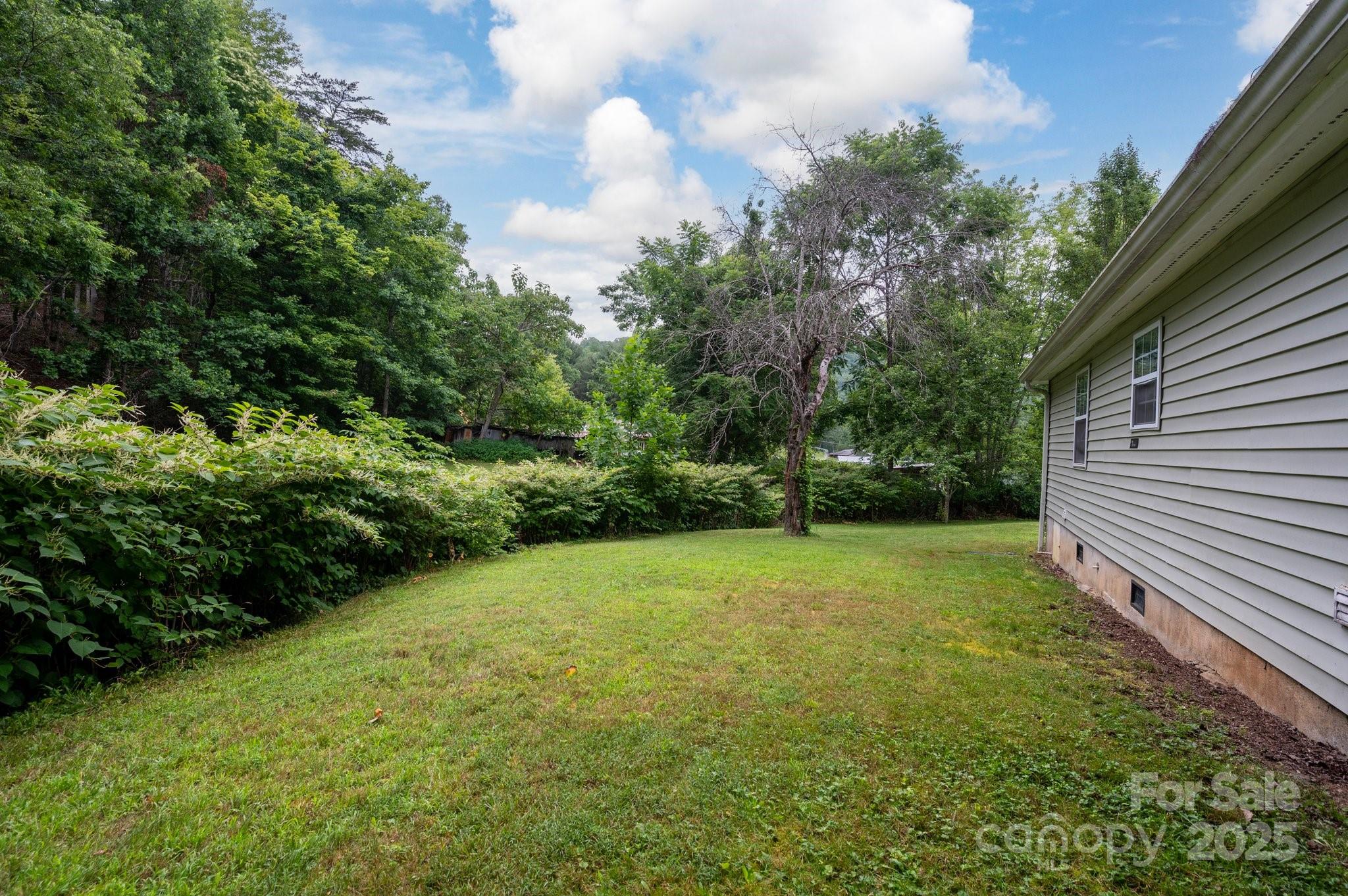 147 Mink Farm Road Leicester, NC 28748 - Photo 22 of 28 Gallery Image 22