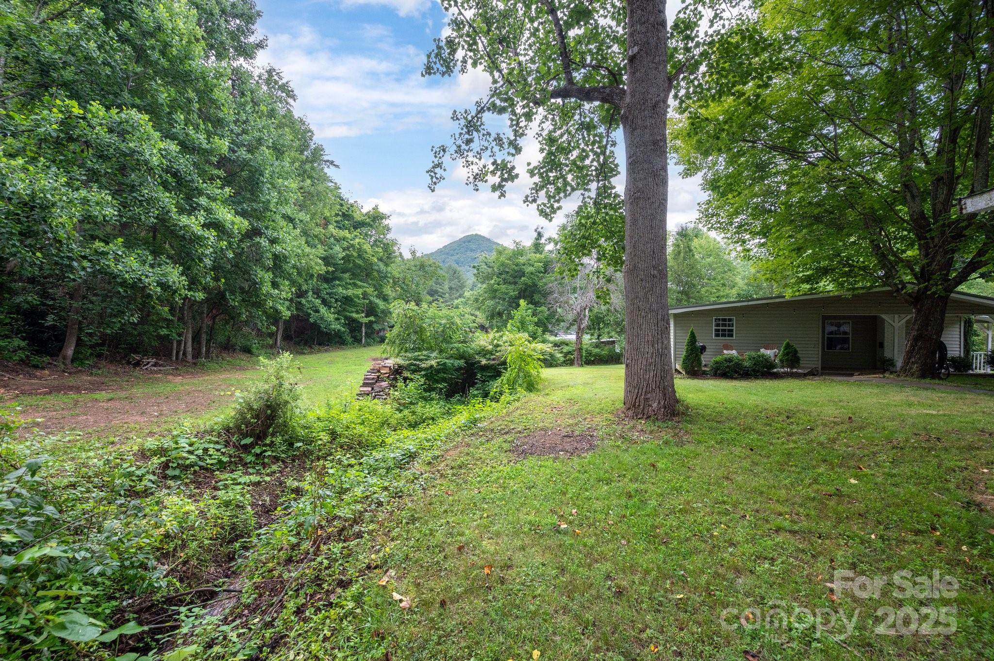 147 Mink Farm Road Leicester, NC 28748 - Photo 24 of 28 Gallery Image 24