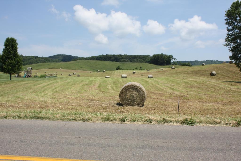 Tbd Reedy Creek Road Bristol, VA 24202 - Photo 8 of 11 Gallery Image 8