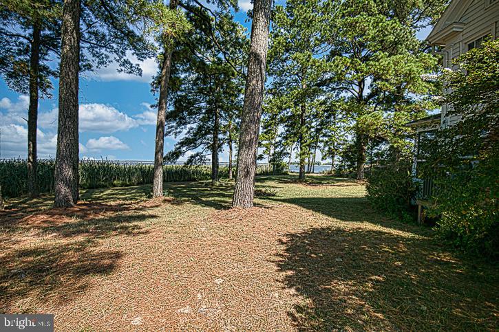 26170 Mt Vernon Road Princess Anne, MD 21853 - Photo 31 of 114 Gallery Image 31
