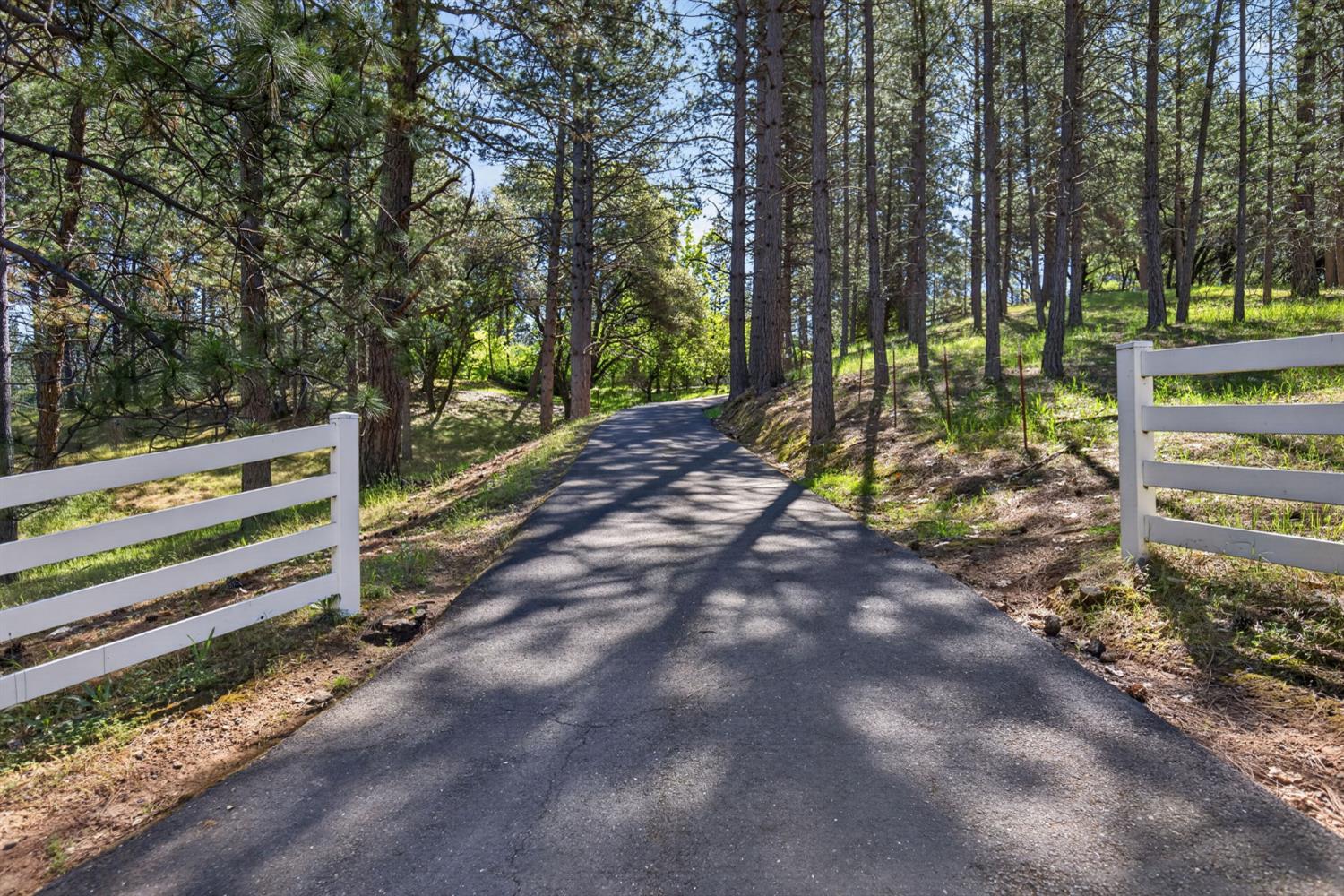 4617 Ringold Road Diamond Springs, CA 95619 - Photo 1 of 1