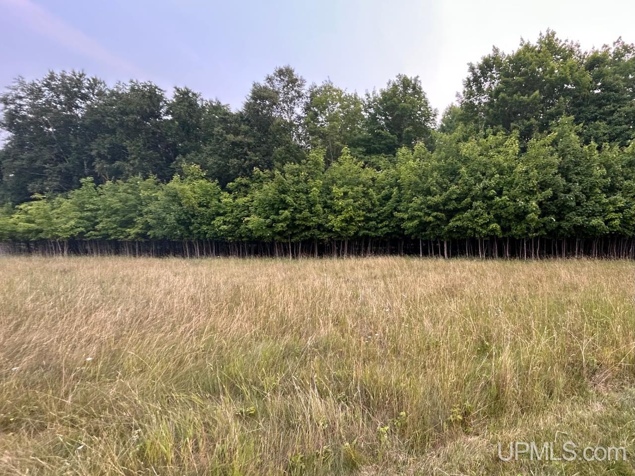 Lot 4 County Road Ishpeming, MI 49849 - Photo 13 of 14