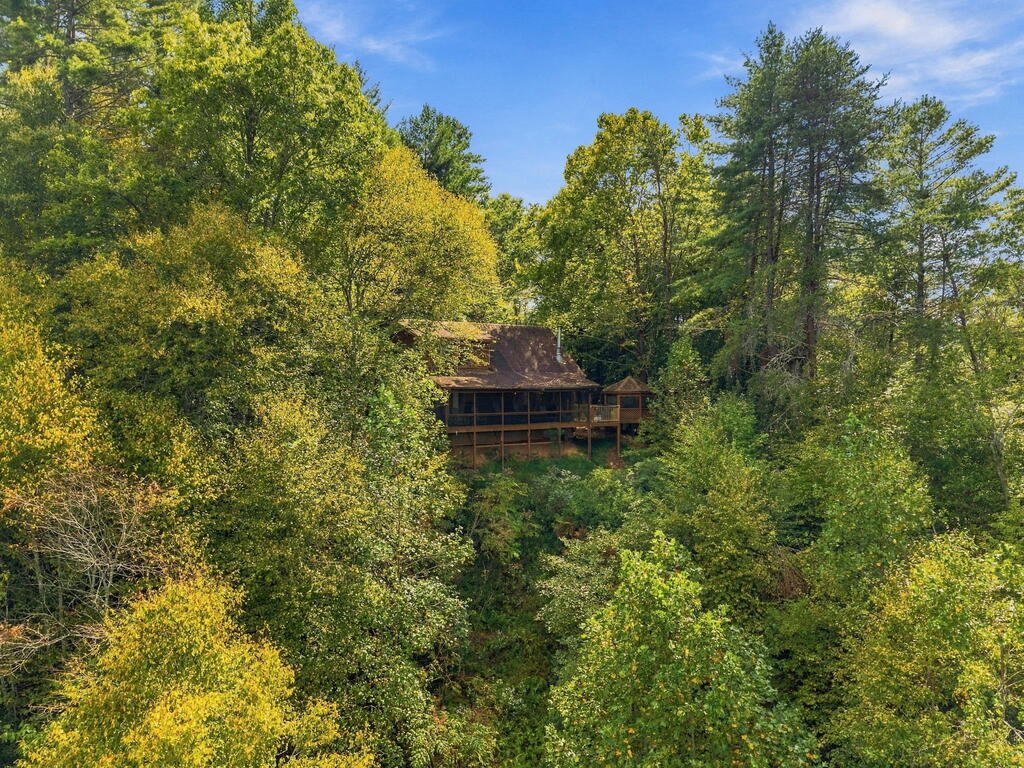 517 Ridge Road Blue Ridge, GA 30513 - Photo 35 of 45 Gallery Image 35