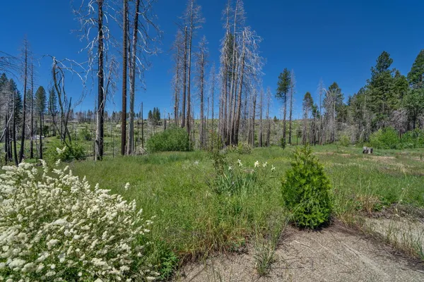 $30,000 | 7425 Winding Way, Grizzly Flats, CA 95636
