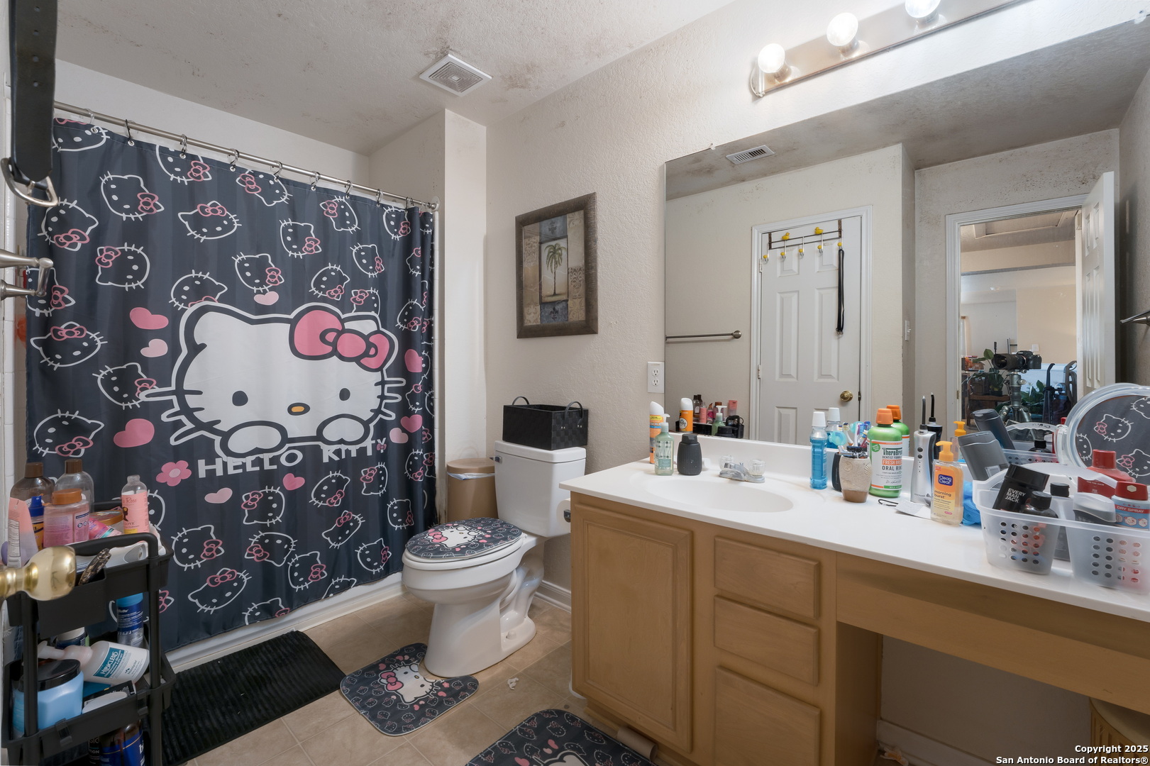 144 Springtree Bluff Cibolo, TX 78108 - Photo 27 of 37 a bathroom with a toilet sink and mirror