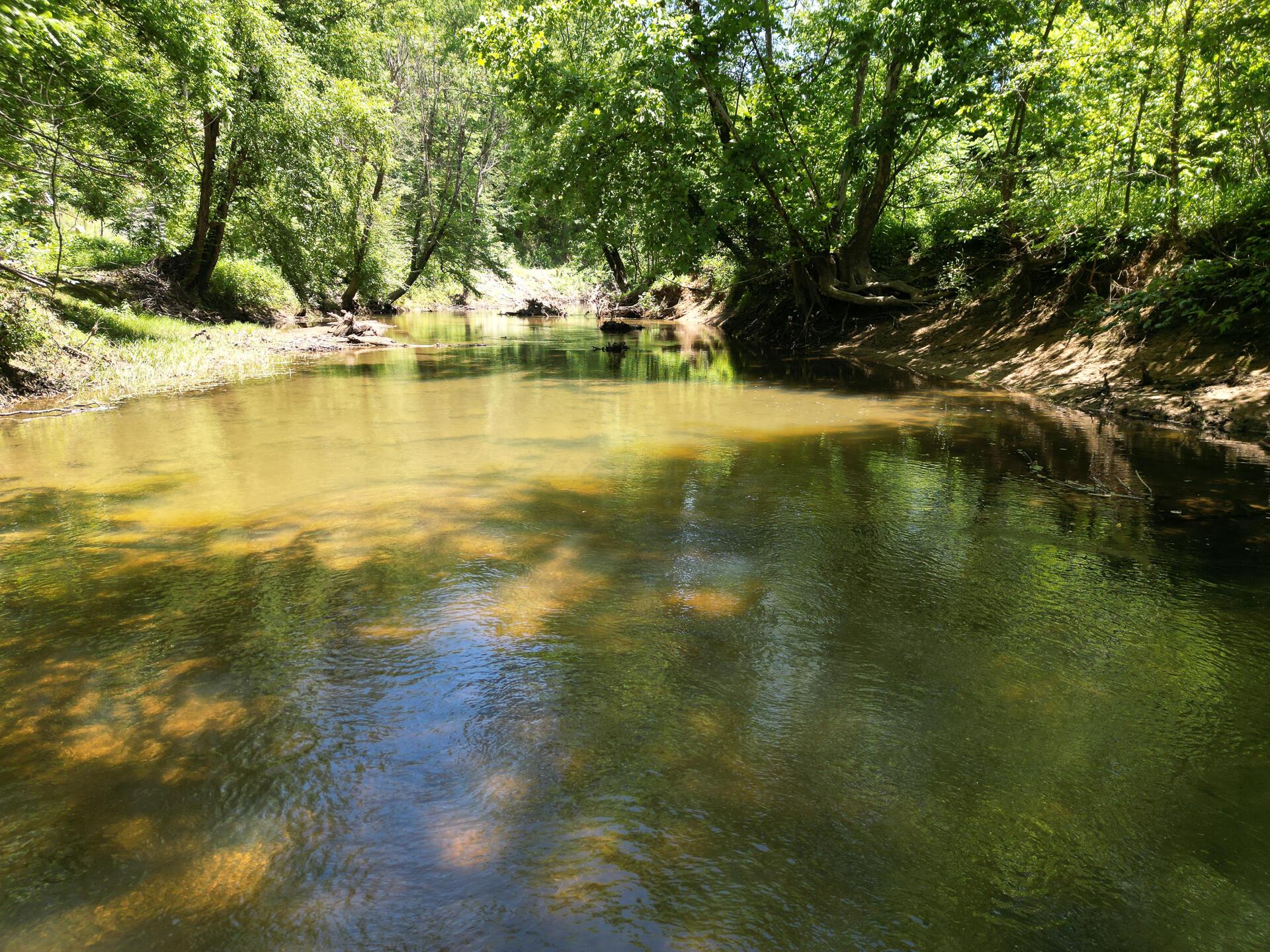 0 Keystone Road, Unit CREEKVIEW CABIN RACOON CREEK) Vinton, OH 45686 - Photo 24 of 72 CT-25