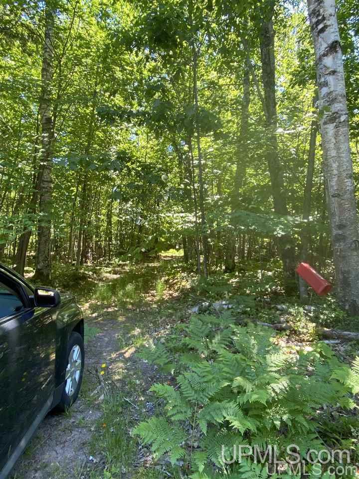 3423 Co Road Big Bay, MI 49808 - Photo 23 of 27