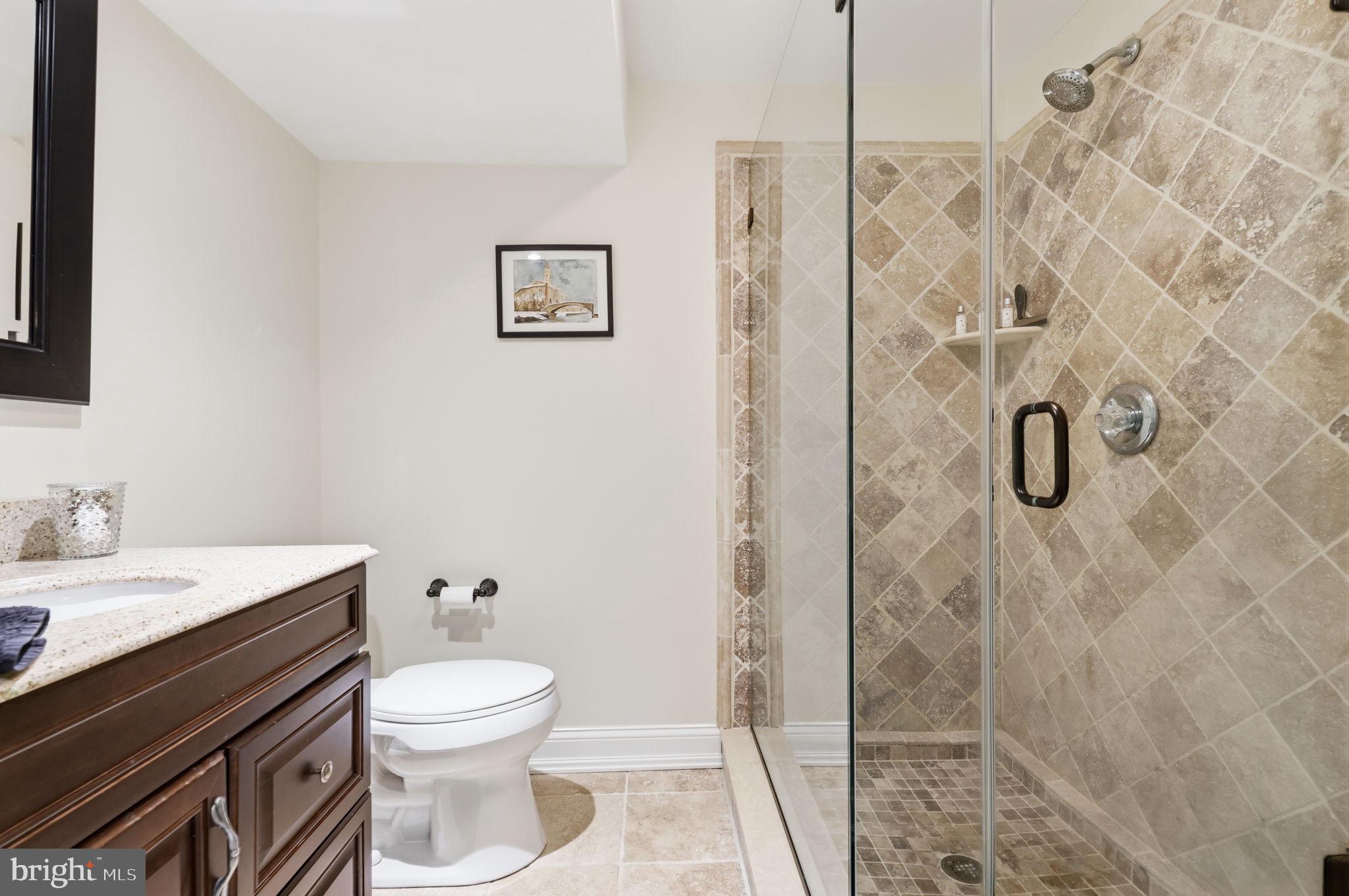 4757 Upper Mountain Road New Hope, PA 18938 - Photo 45 of 70 Lower Level Full Bath
