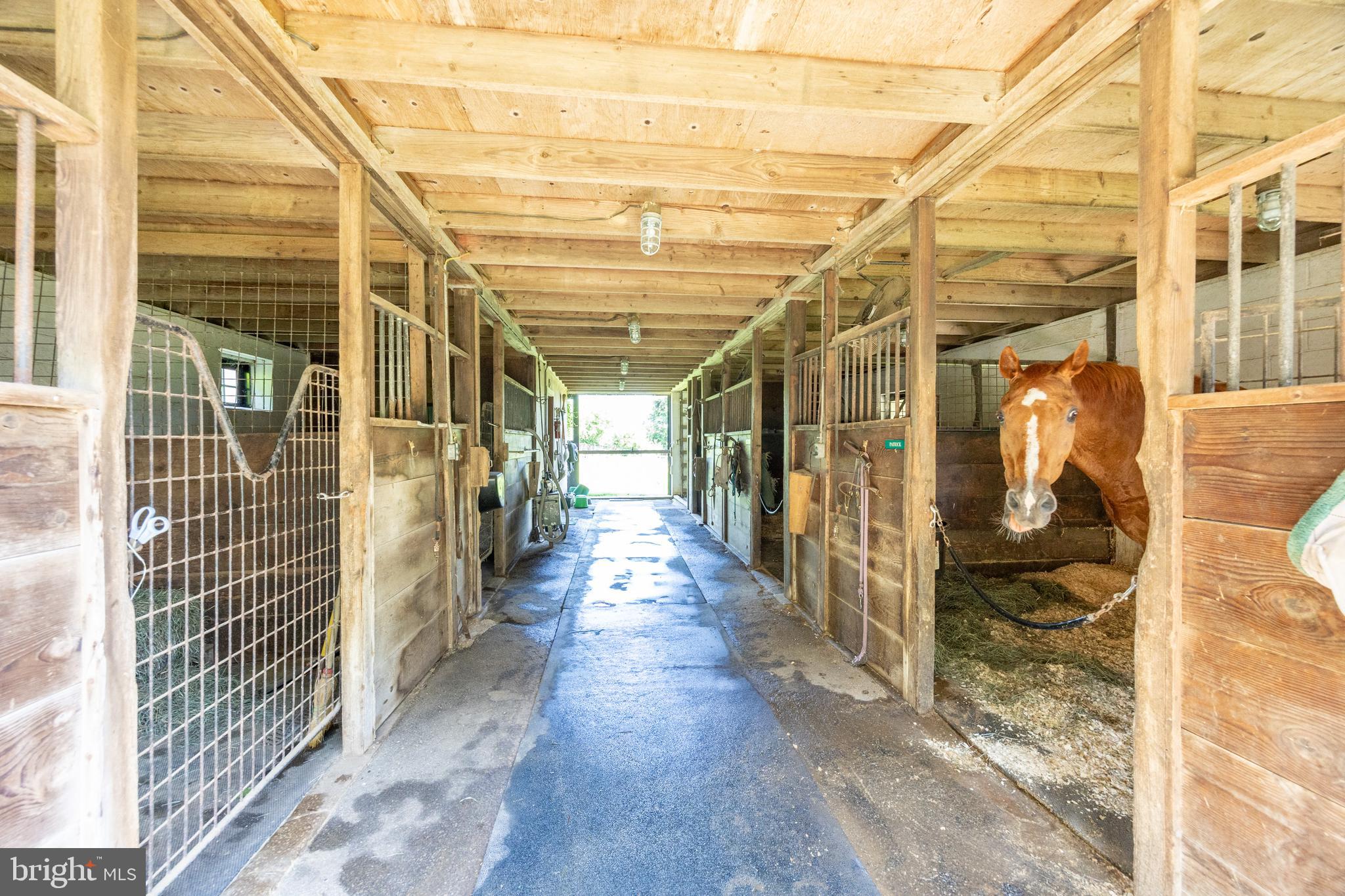 318 Gum Tree Road Coatesville, PA 19320 - Photo 34 of 58 Gallery Image 34