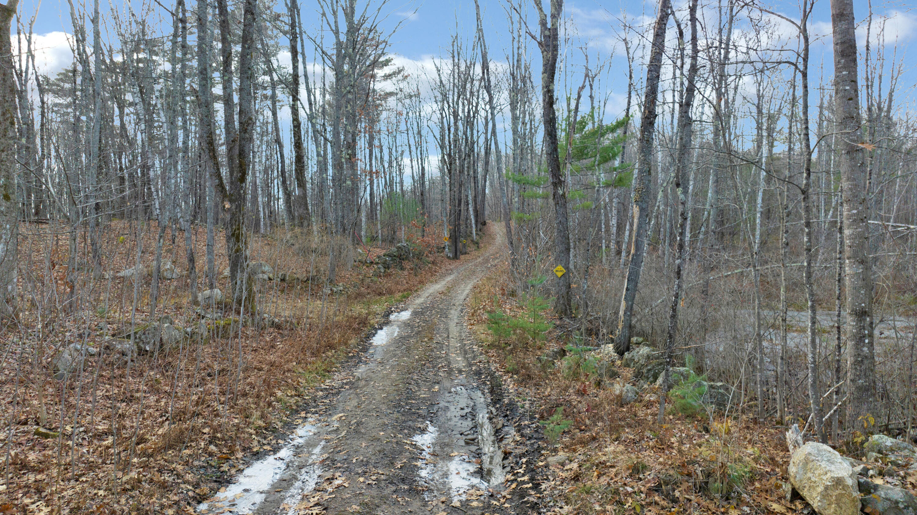 61 Rocky Dundee Road West Newfield, ME 04095 - Photo 3 of 19 dji_0086