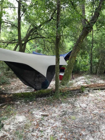 a view of a chairs and table in backyard
