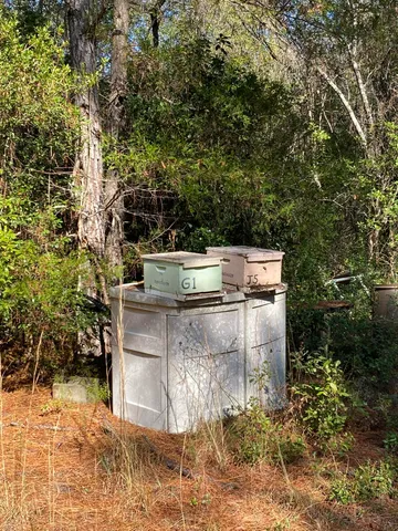 a view of a chairs and table in backyard