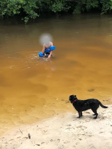 a view of a lake with a mountain