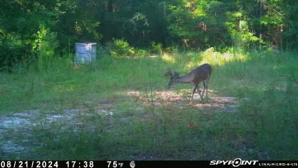 a view of a snow on the beach