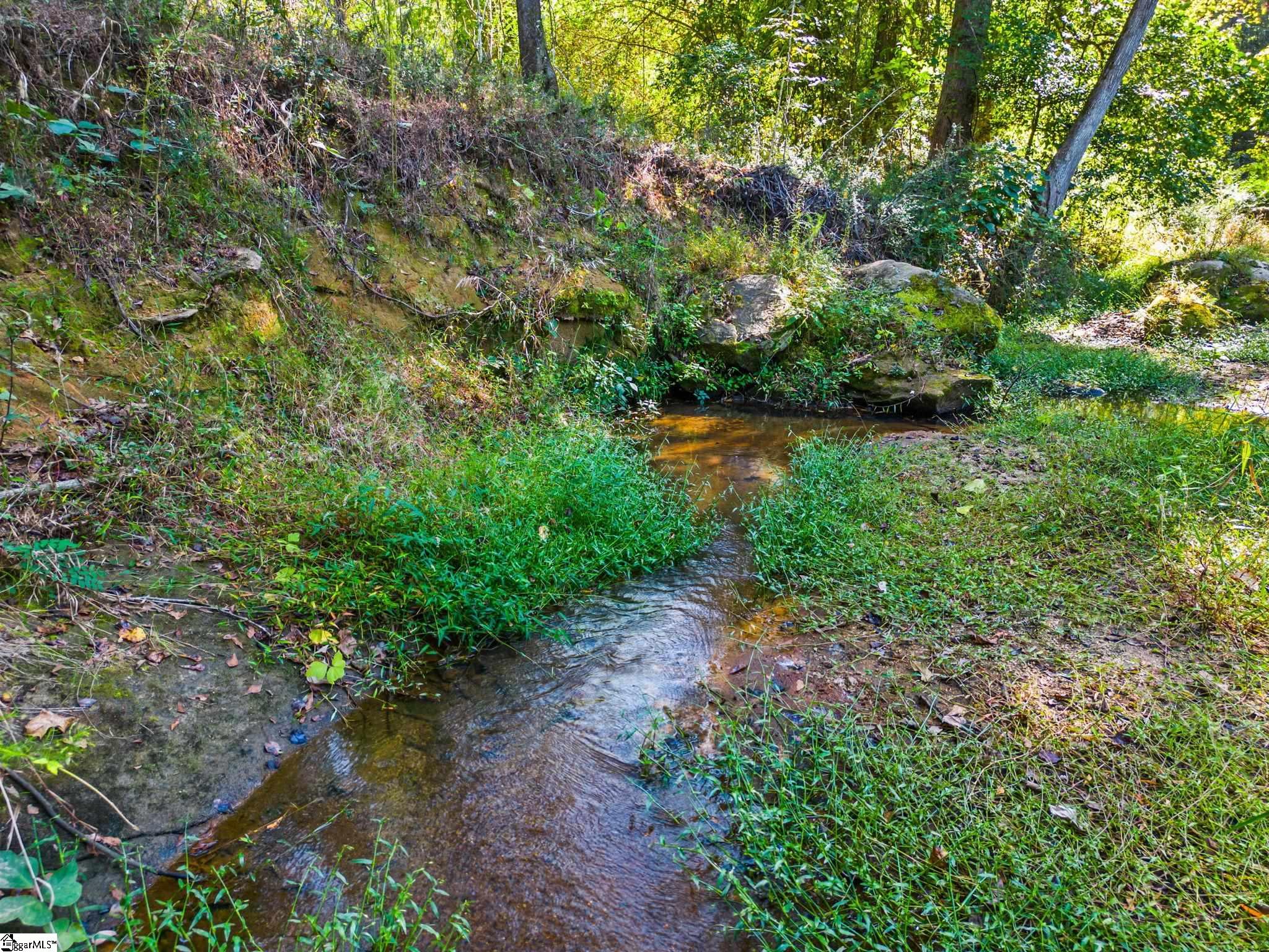 0 Princeton Highway Honea Path, SC 29654 - Photo 11 of 15
