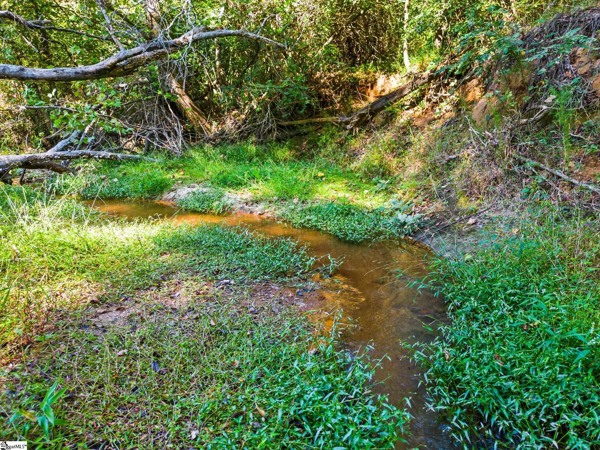 0 Princeton Highway Honea Path, SC 29654 - Photo 12 of 15