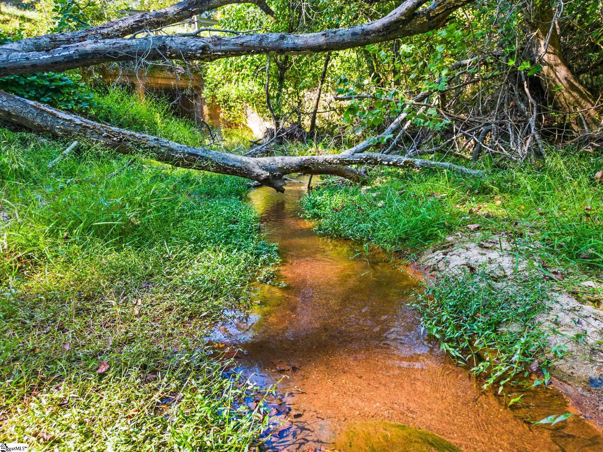 0 Princeton Highway Honea Path, SC 29654 - Photo 13 of 15