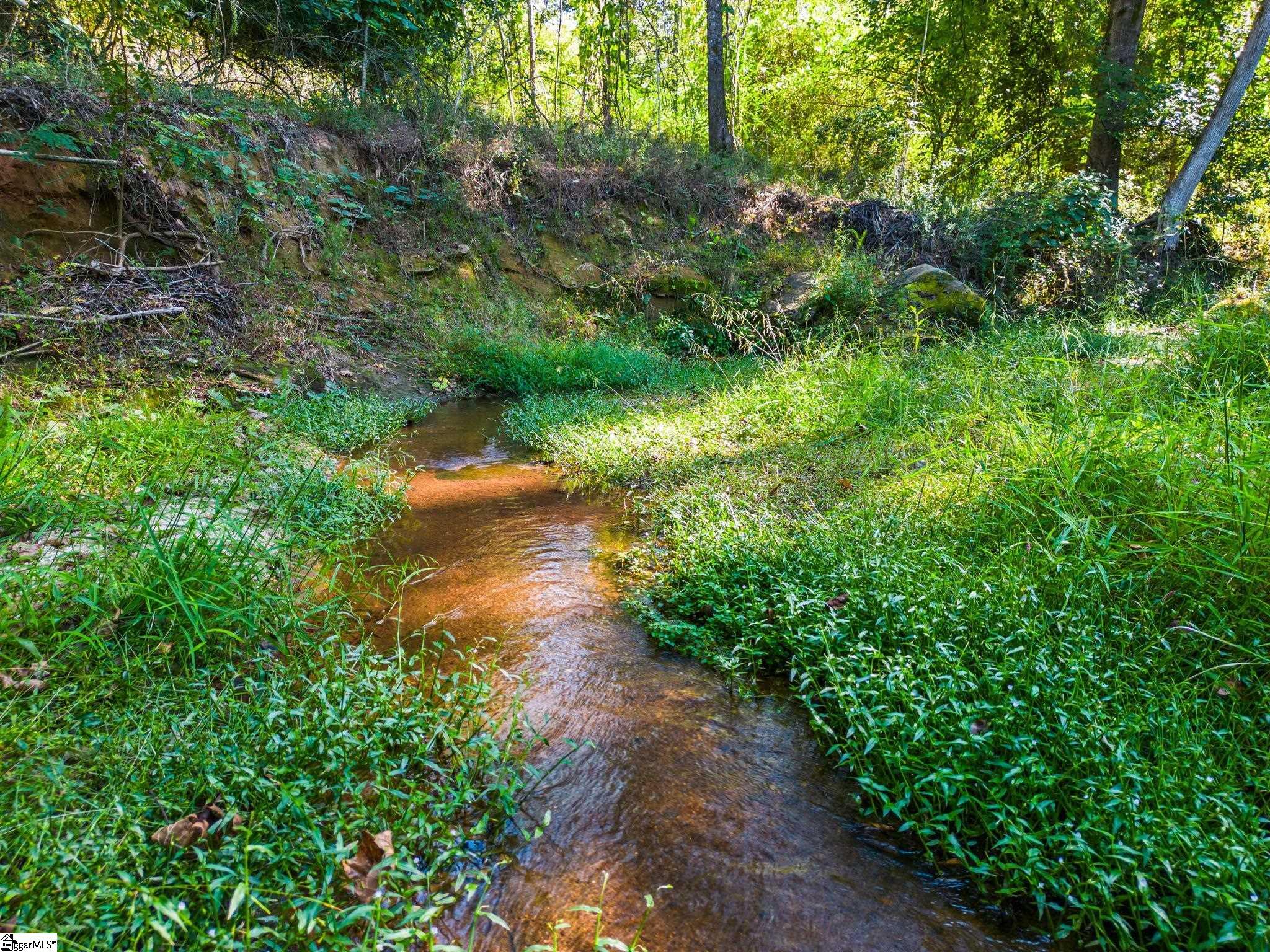 0 Princeton Highway Honea Path, SC 29654 - Photo 14 of 15