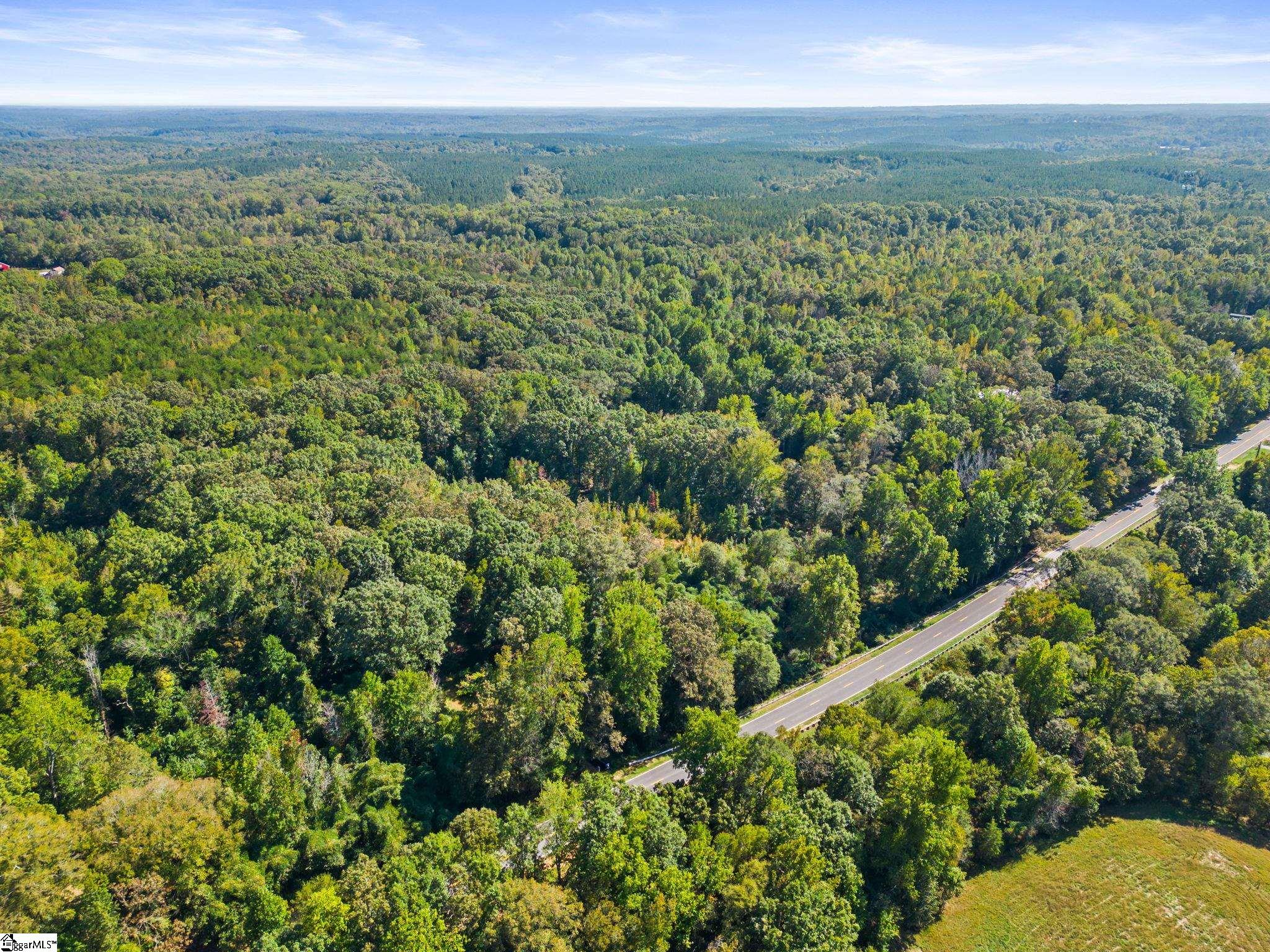 0 Princeton Highway Honea Path, SC 29654 - Photo 2 of 15