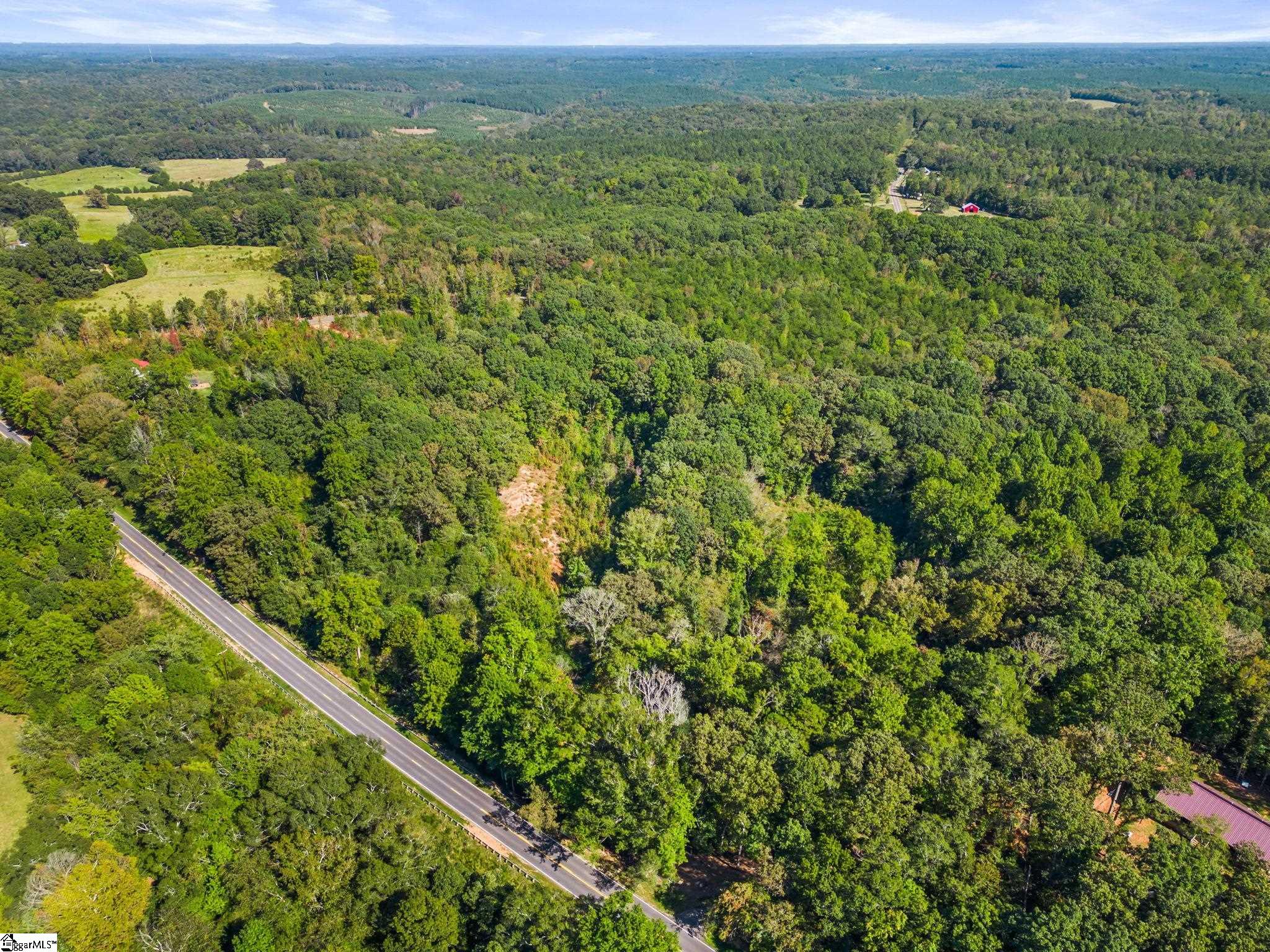 0 Princeton Highway Honea Path, SC 29654 - Photo 5 of 15