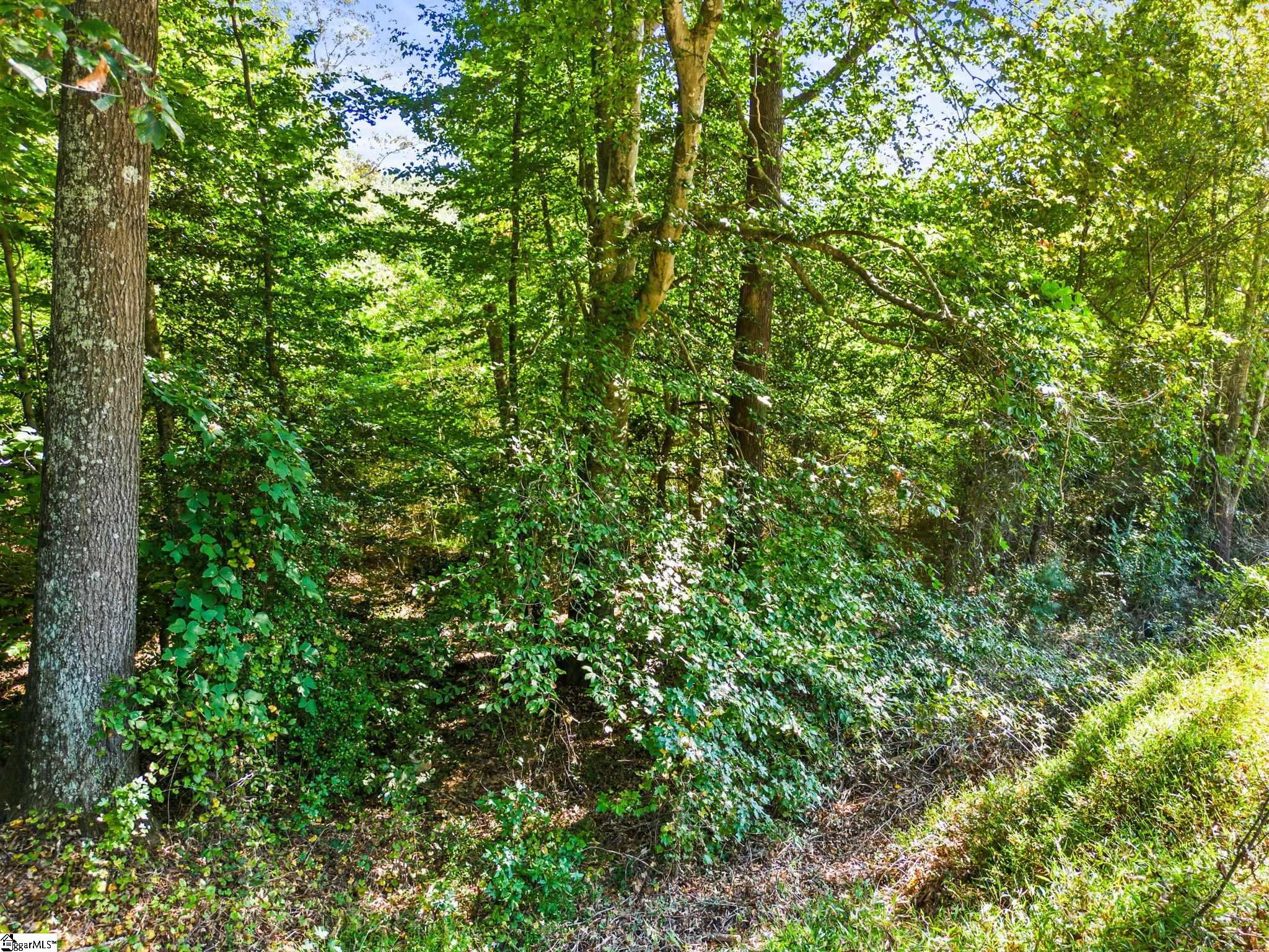 0 Princeton Highway Honea Path, SC 29654 - Photo 8 of 15