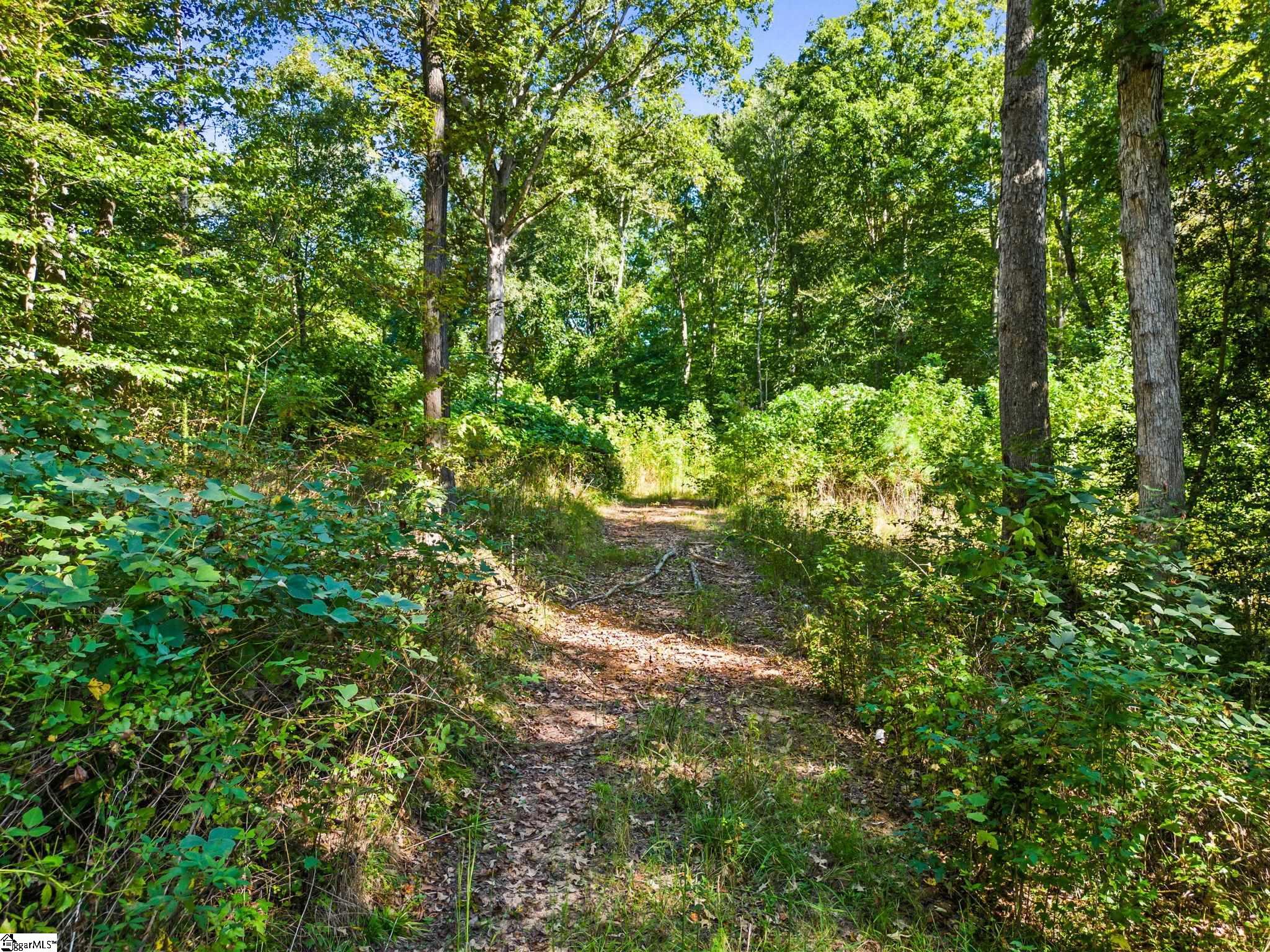 0 Princeton Highway Honea Path, SC 29654 - Photo 9 of 15