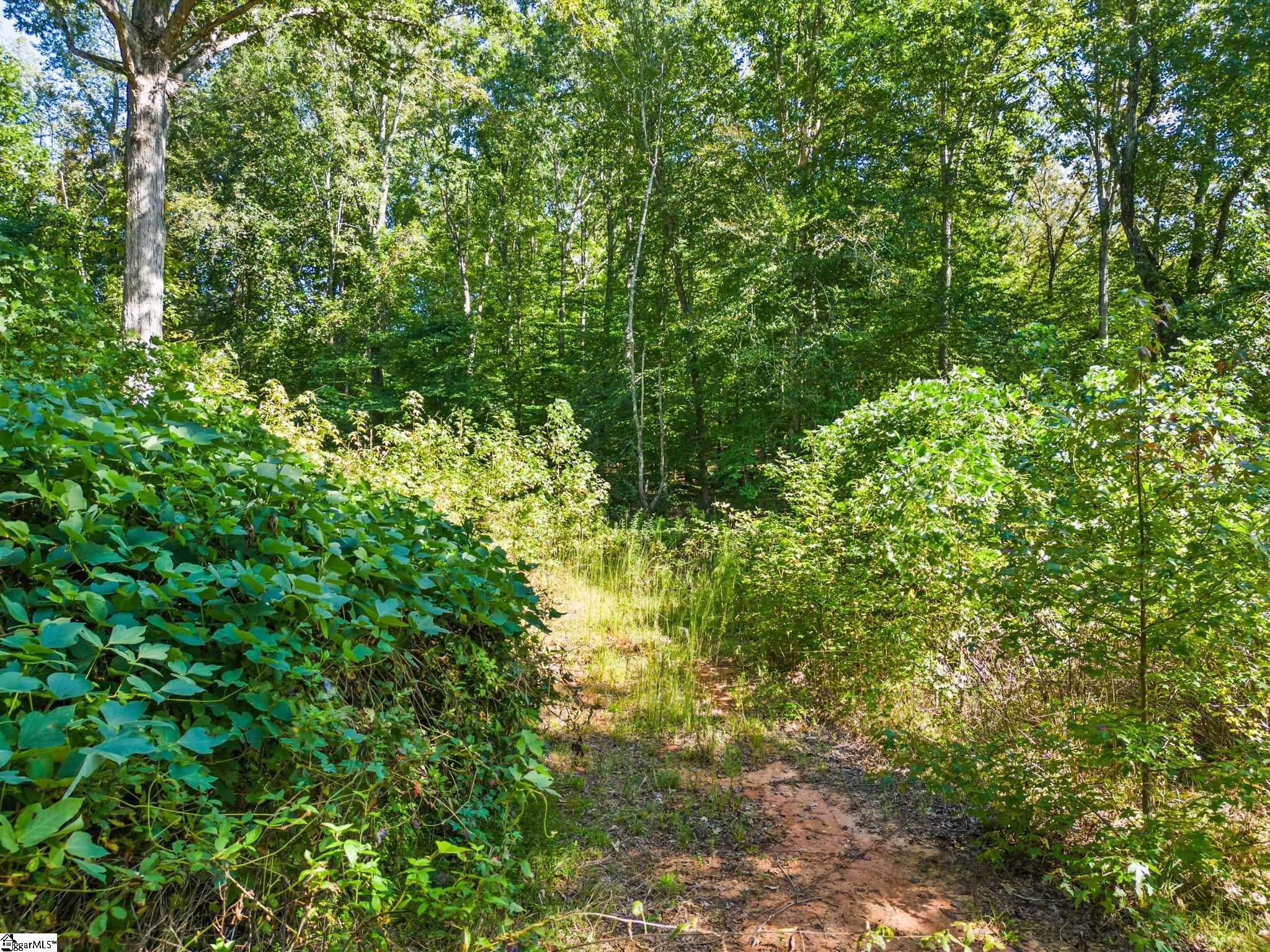 0 Princeton Highway Honea Path, SC 29654 - Photo 10 of 15