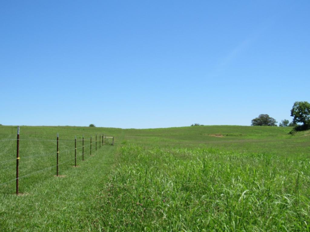 0 Oakland Road Limestone, TN 37681 - Photo 1 of 9 Photo 1