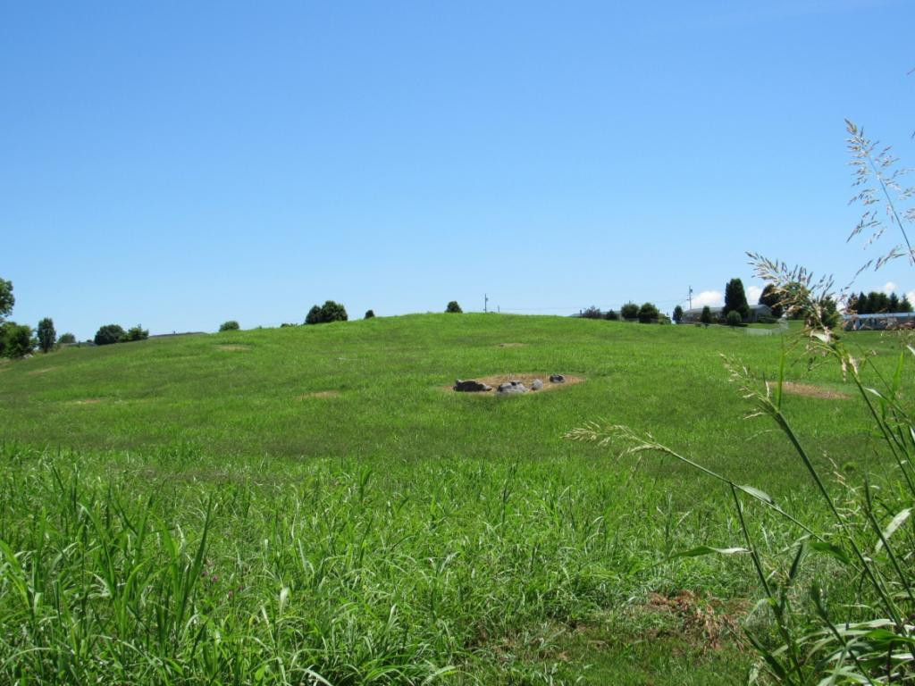 0 Oakland Road Limestone, TN 37681 - Photo 2 of 9 Photo 2