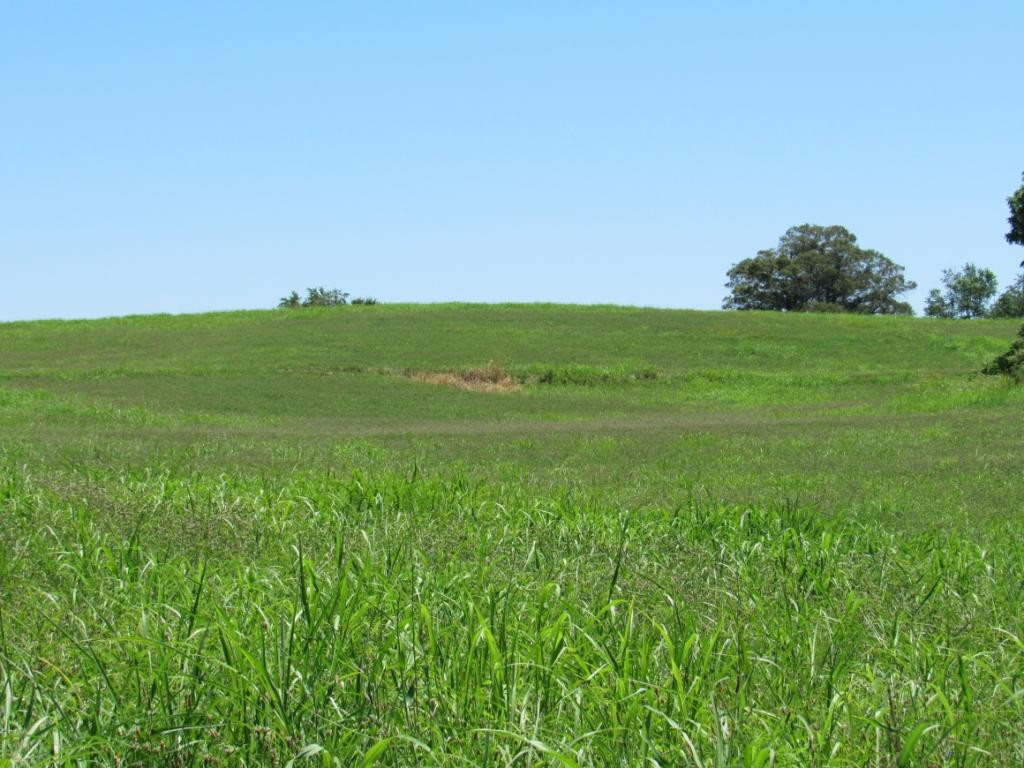 0 Oakland Road Limestone, TN 37681 - Photo 4 of 9 Photo 4