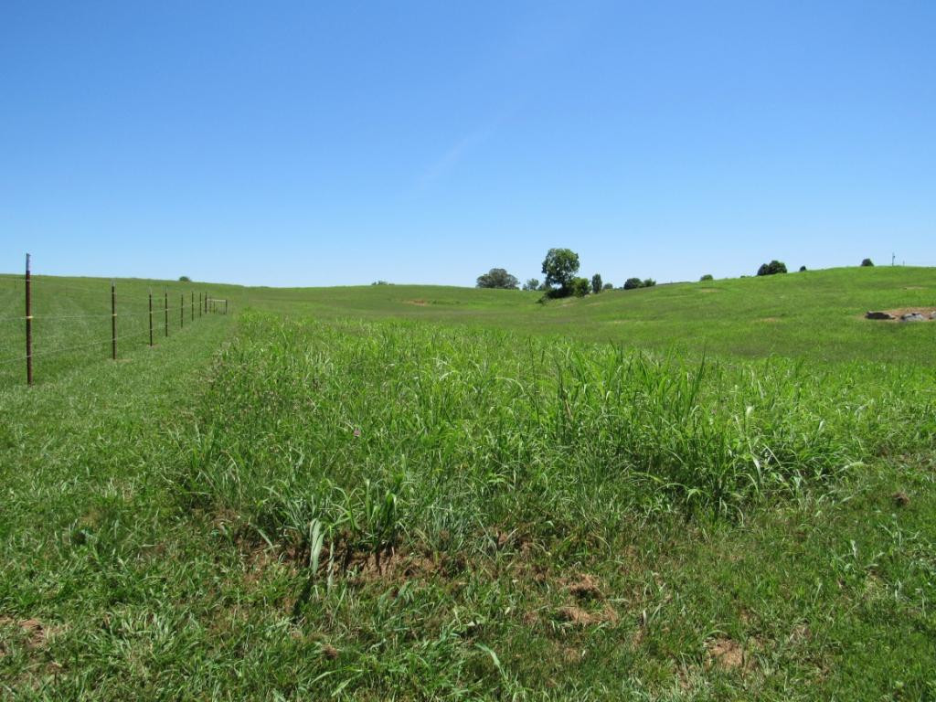 0 Oakland Road Limestone, TN 37681 - Photo 5 of 9 Photo 5