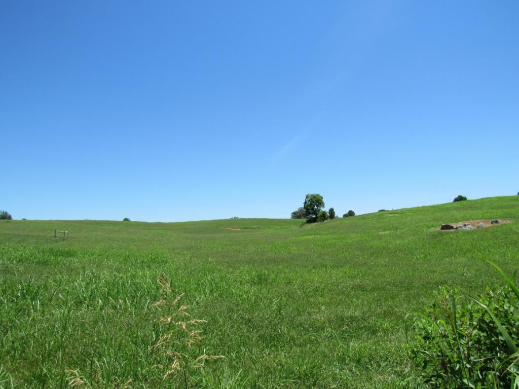 0 Oakland Road Limestone, TN 37681 - Photo 7 of 9 Photo 7