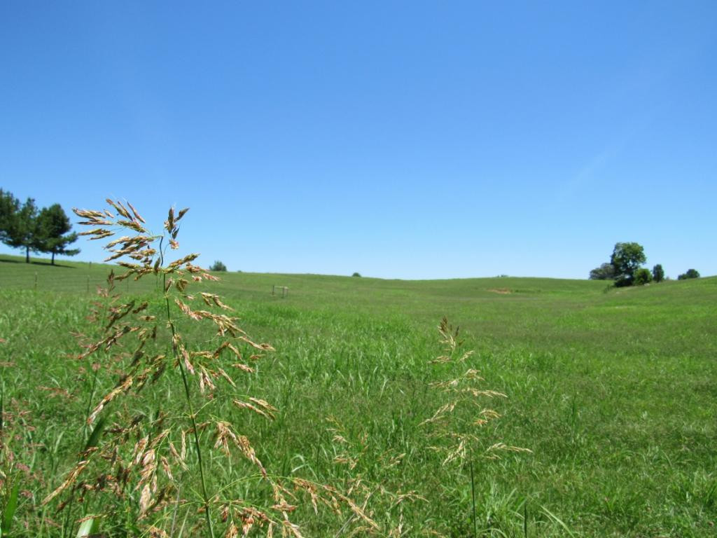 0 Oakland Road Limestone, TN 37681 - Photo 8 of 9 Photo 8