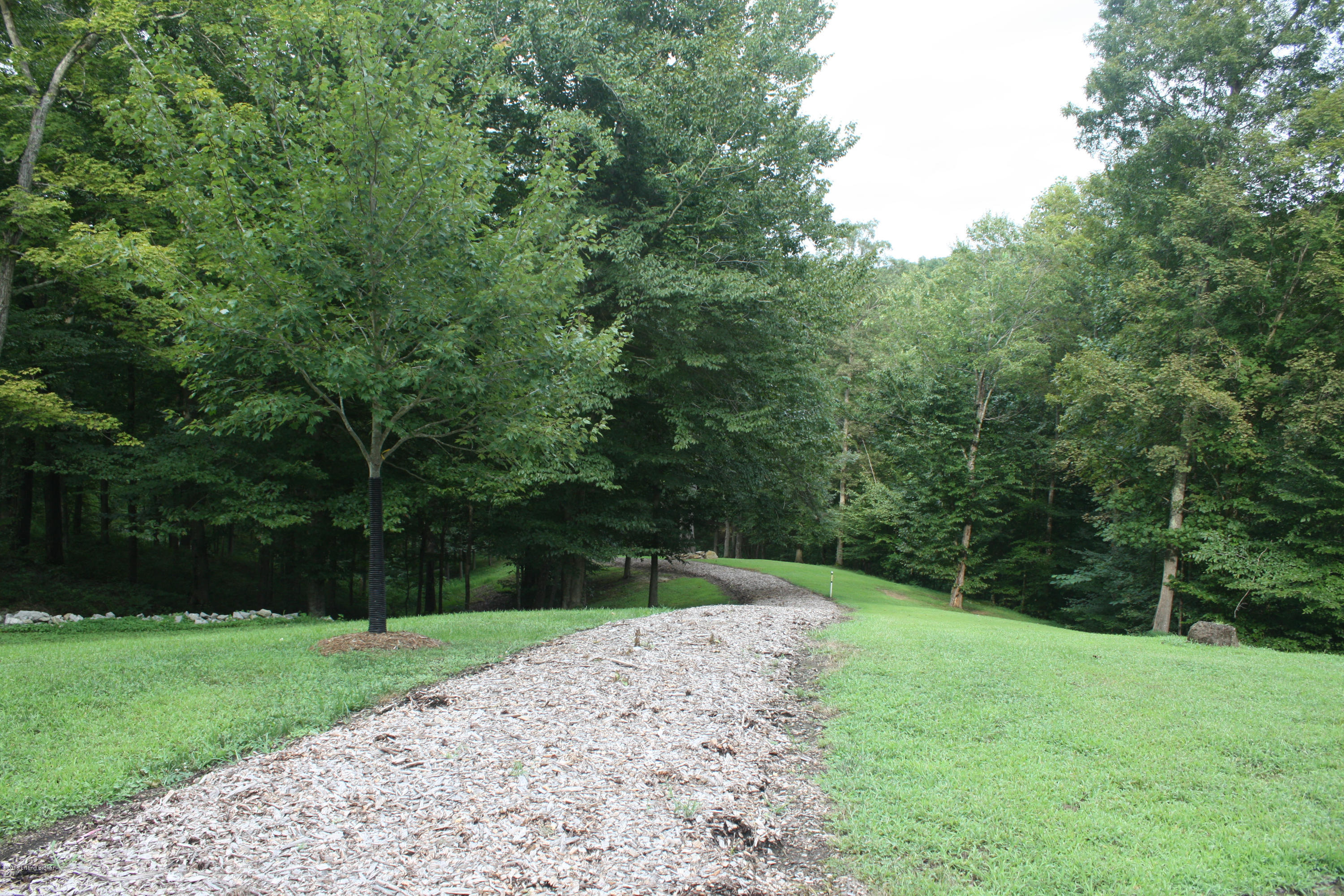 2 Mayflower Road Leitchfield, KY 42754 - Photo 14 of 16 path 2