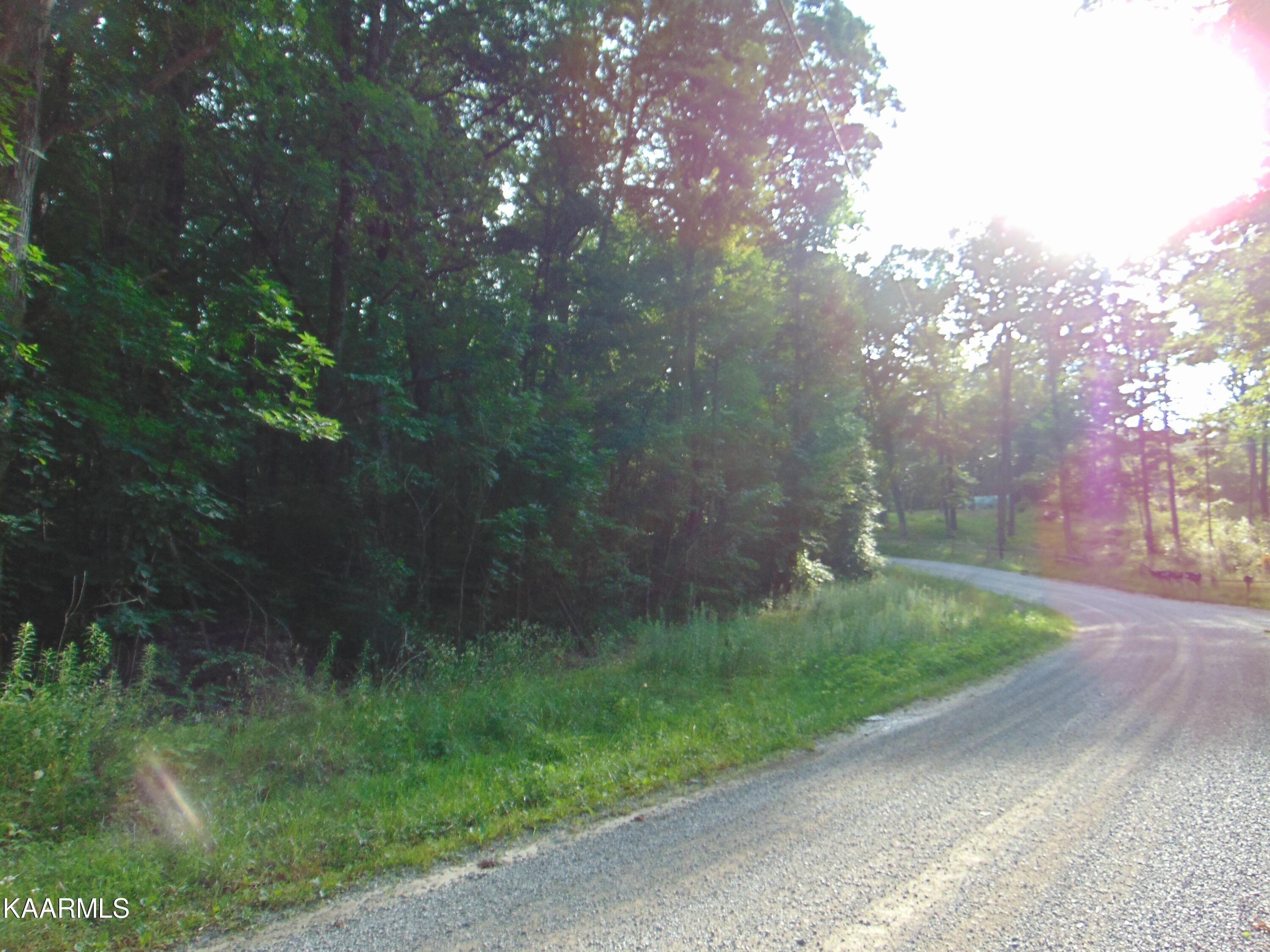 1.02-ac Log Road Spring City, TN 37381 - Photo 1 of 14 DSC00812