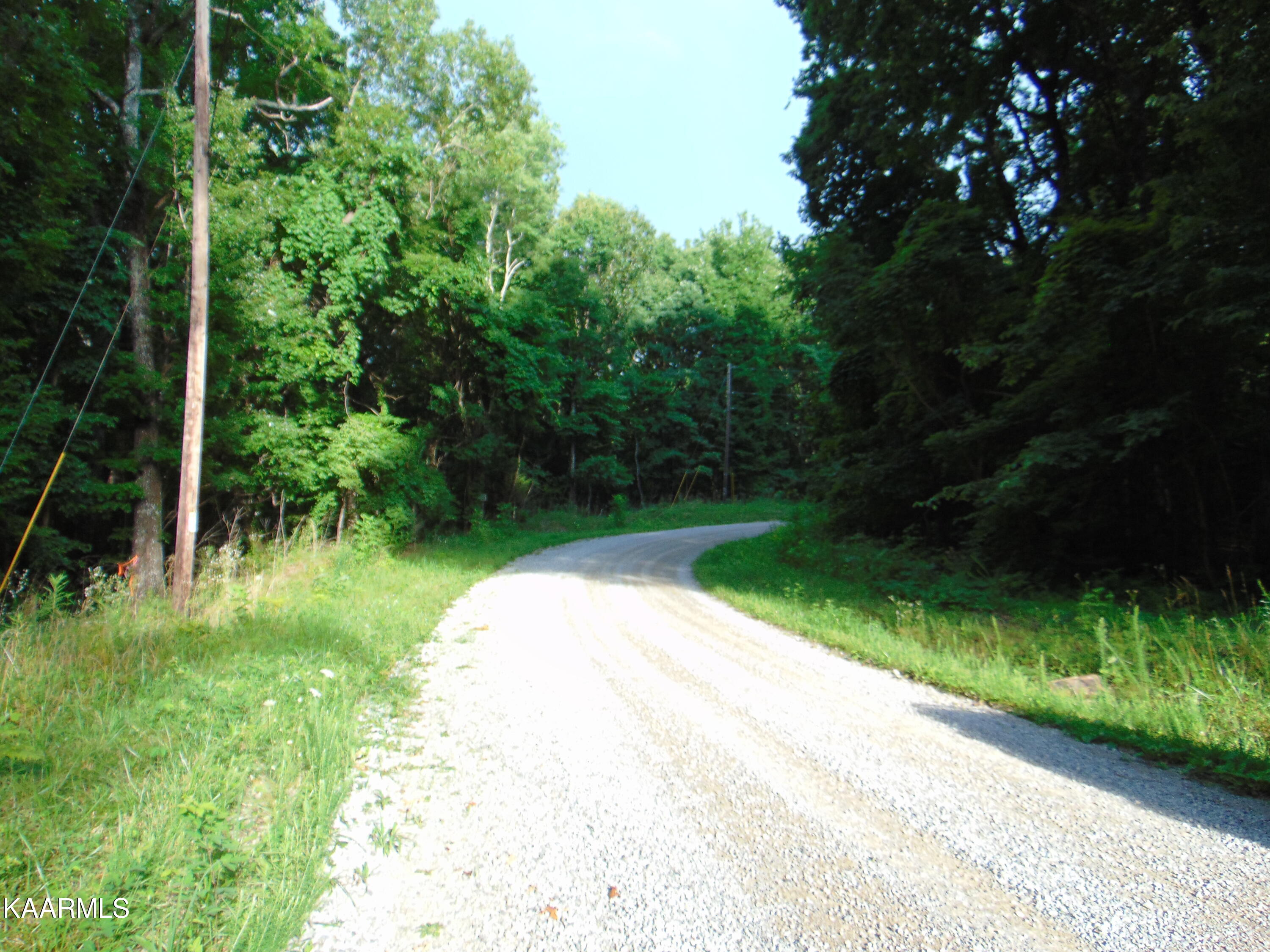 1.02-ac Log Road Spring City, TN 37381 - Photo 11 of 14 DSC00821