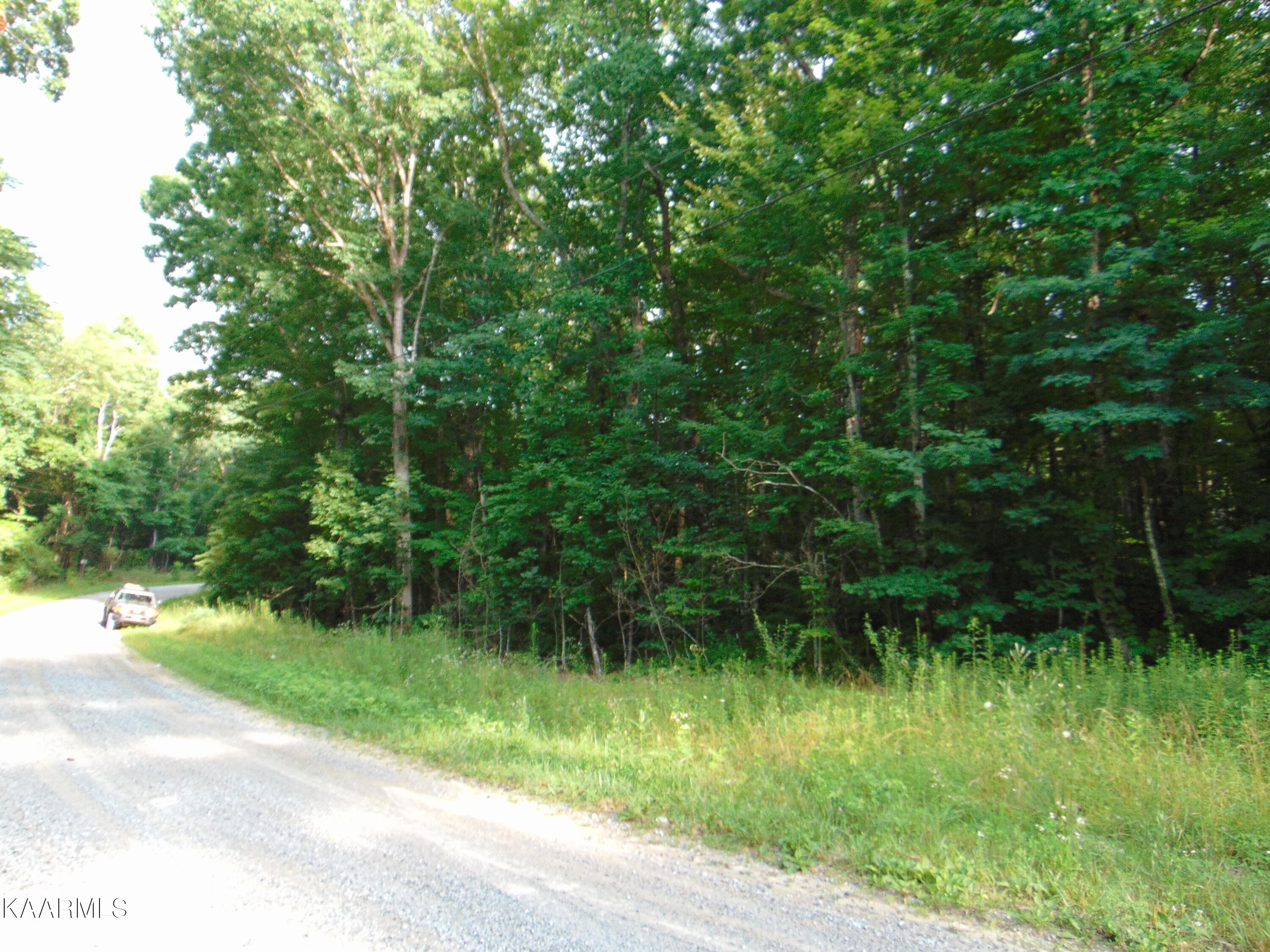 1.02-ac Log Road Spring City, TN 37381 - Photo 12 of 14 DSC00822