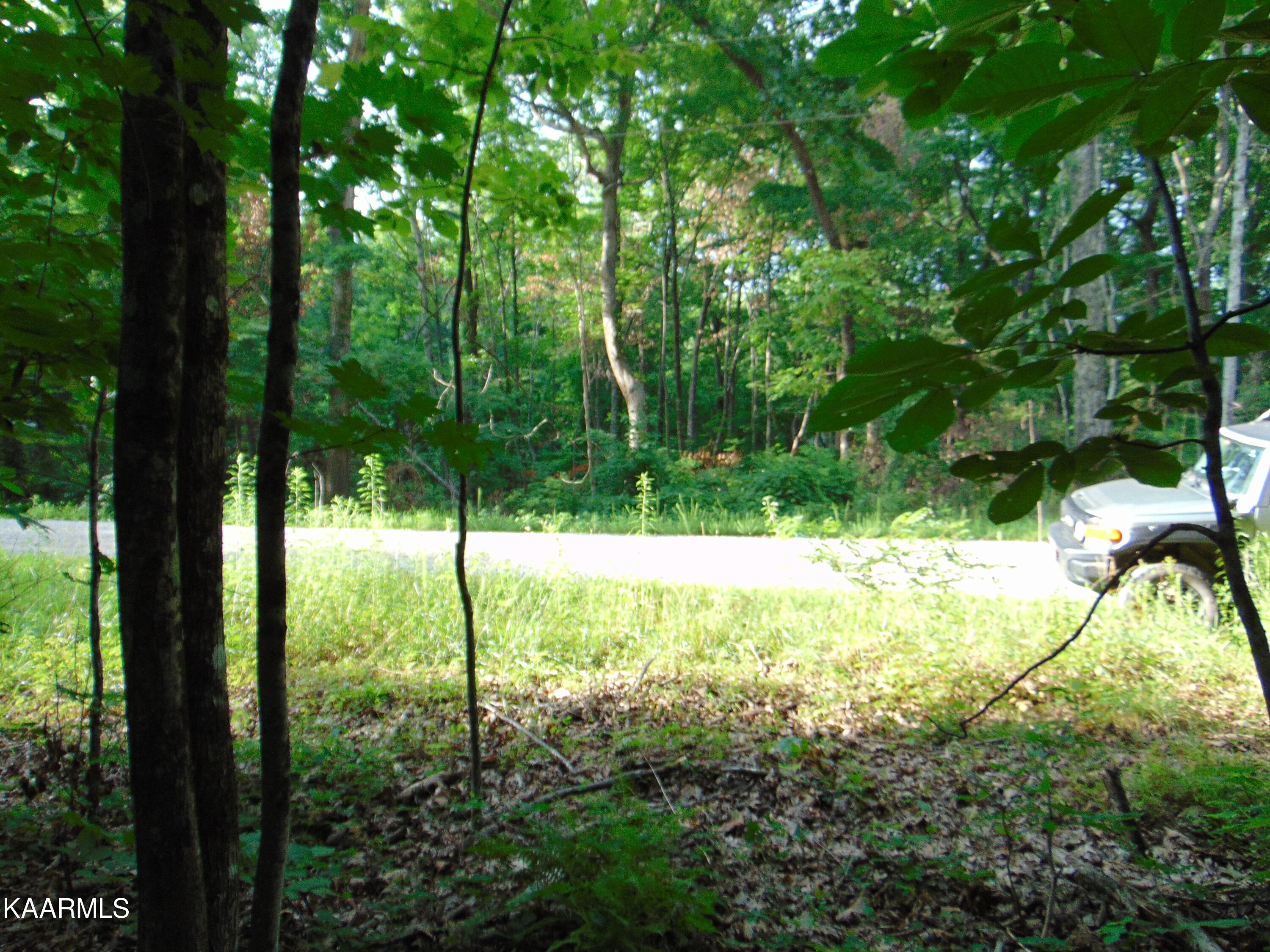 1.02-ac Log Road Spring City, TN 37381 - Photo 5 of 14 DSC00815