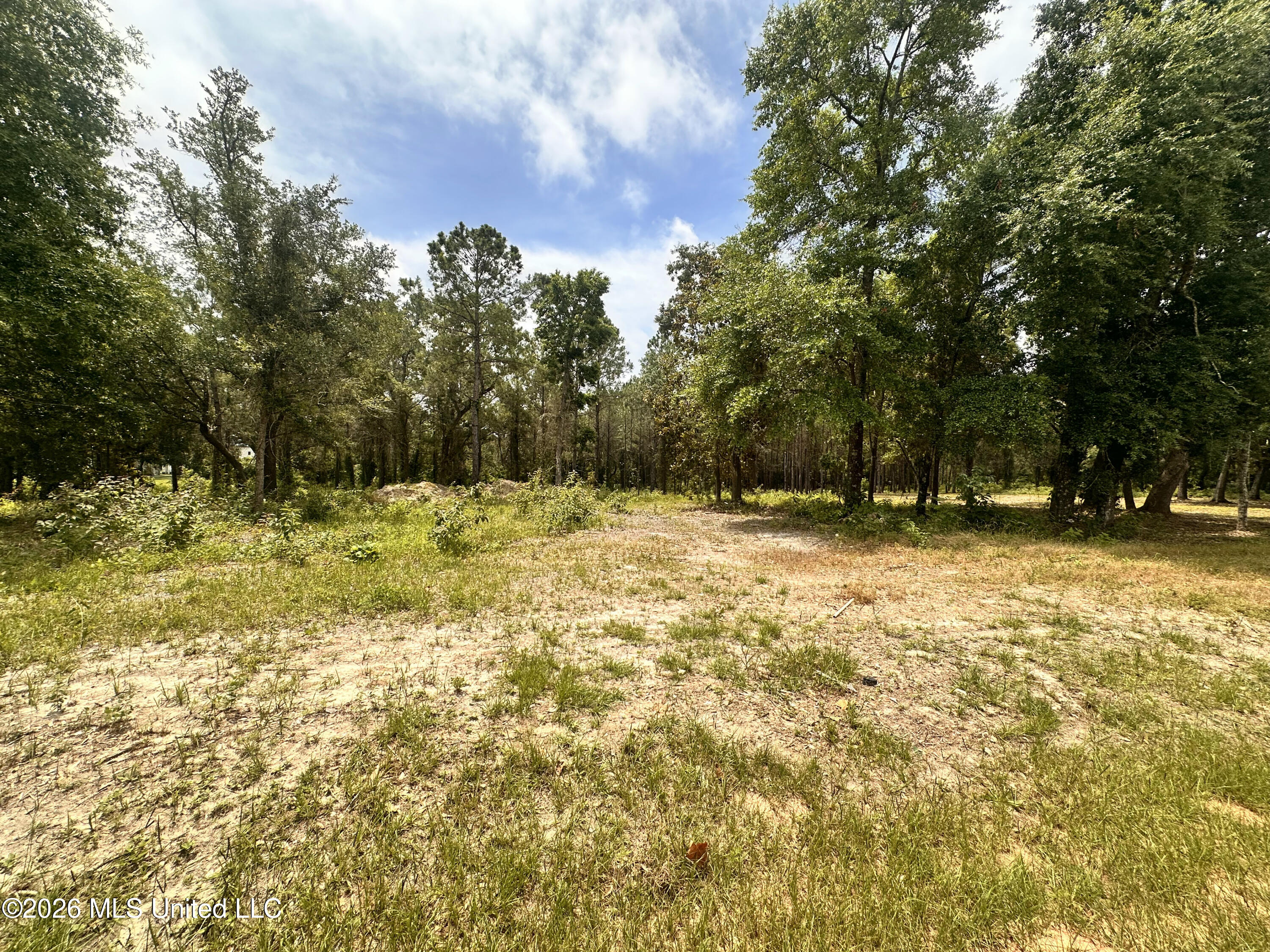 Lot 10 Magnolia Street Long Beach, MS 39560 - Photo 8 of 11 IMG_0863