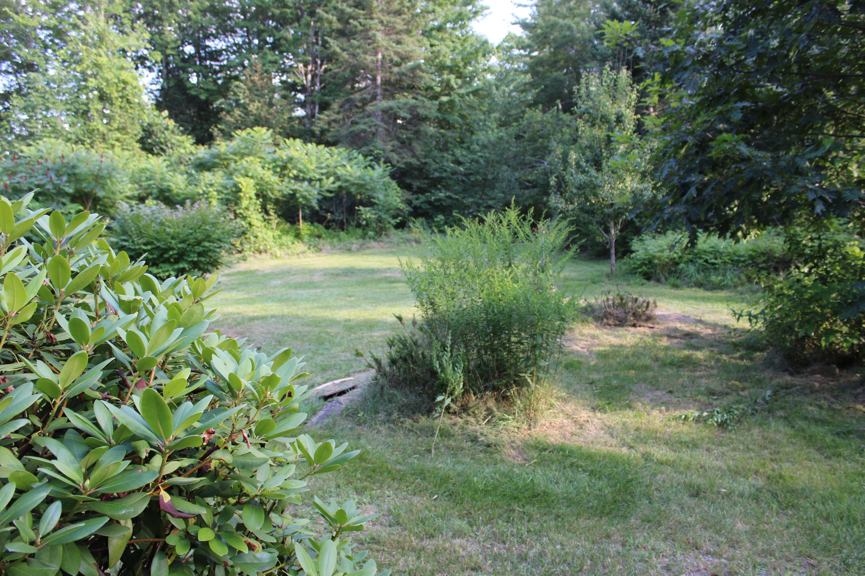 249 Beans Corner Road Starks, ME 04911 - Photo 18 of 25 IMG_0096