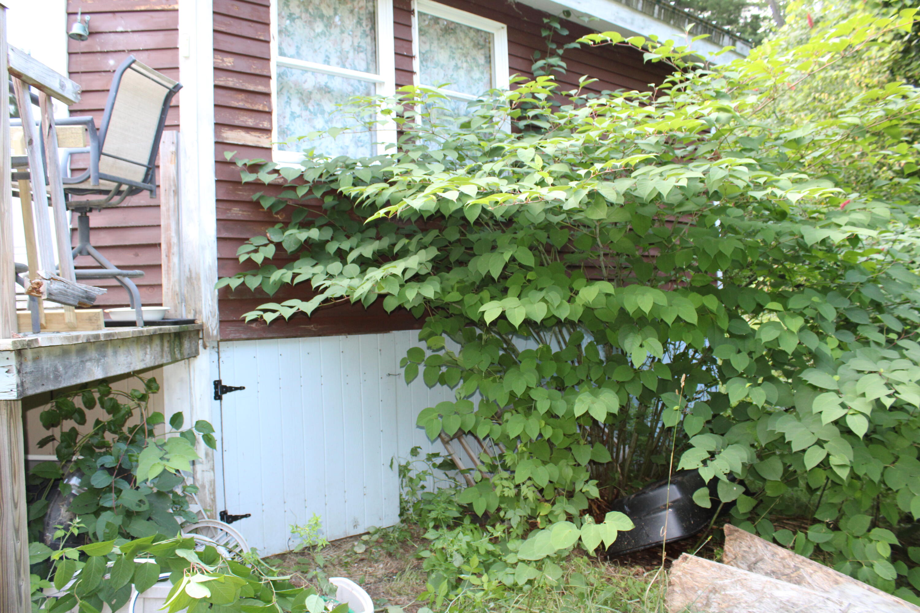 249 Beans Corner Road Starks, ME 04911 - Photo 6 of 25 IMG_0123